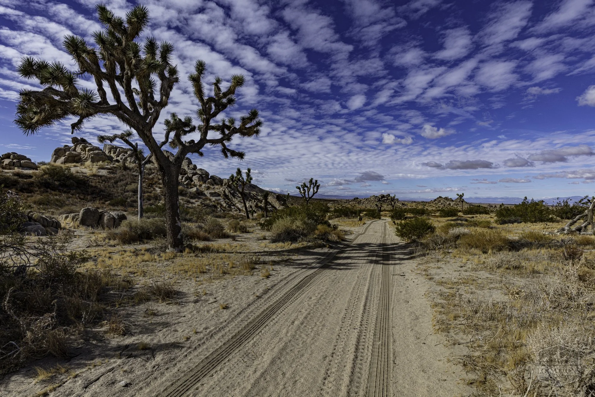 Rocky Buttes - Lancaster - 112424 -017.jpg
