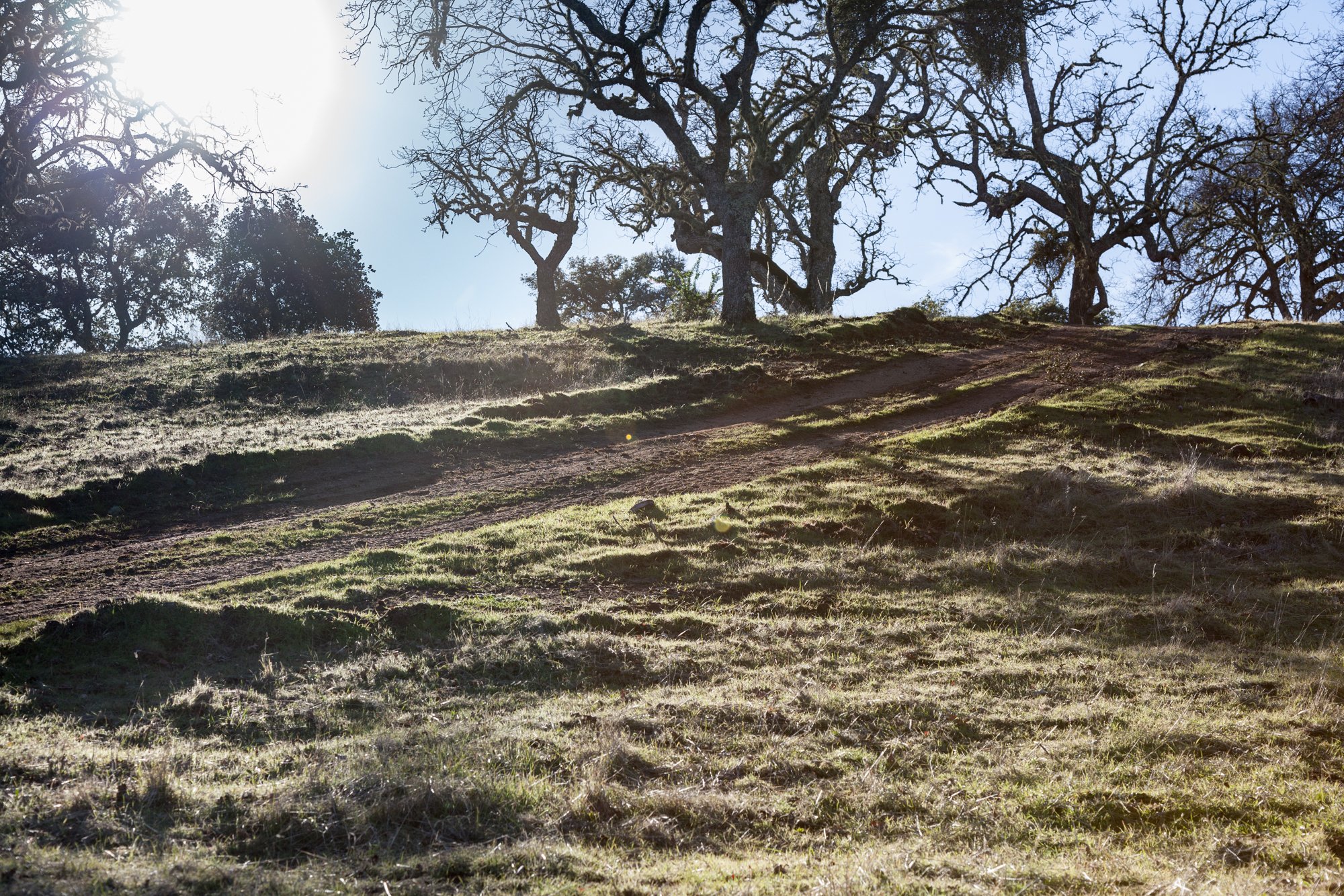 Rnch- Galante Ranch & Vineyards - Carmel Valley - 18.jpg