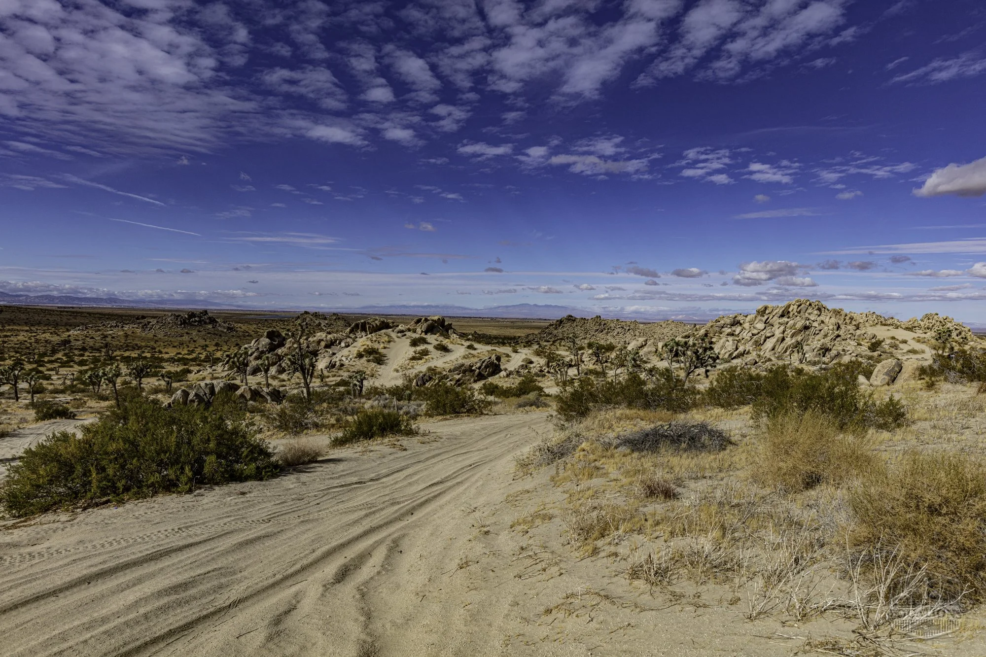 Rocky Buttes - Lancaster - 112424 -035.jpg