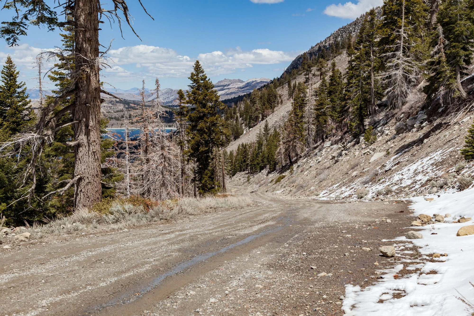 Ntr- June Mtn - Maint Rd -24.jpg