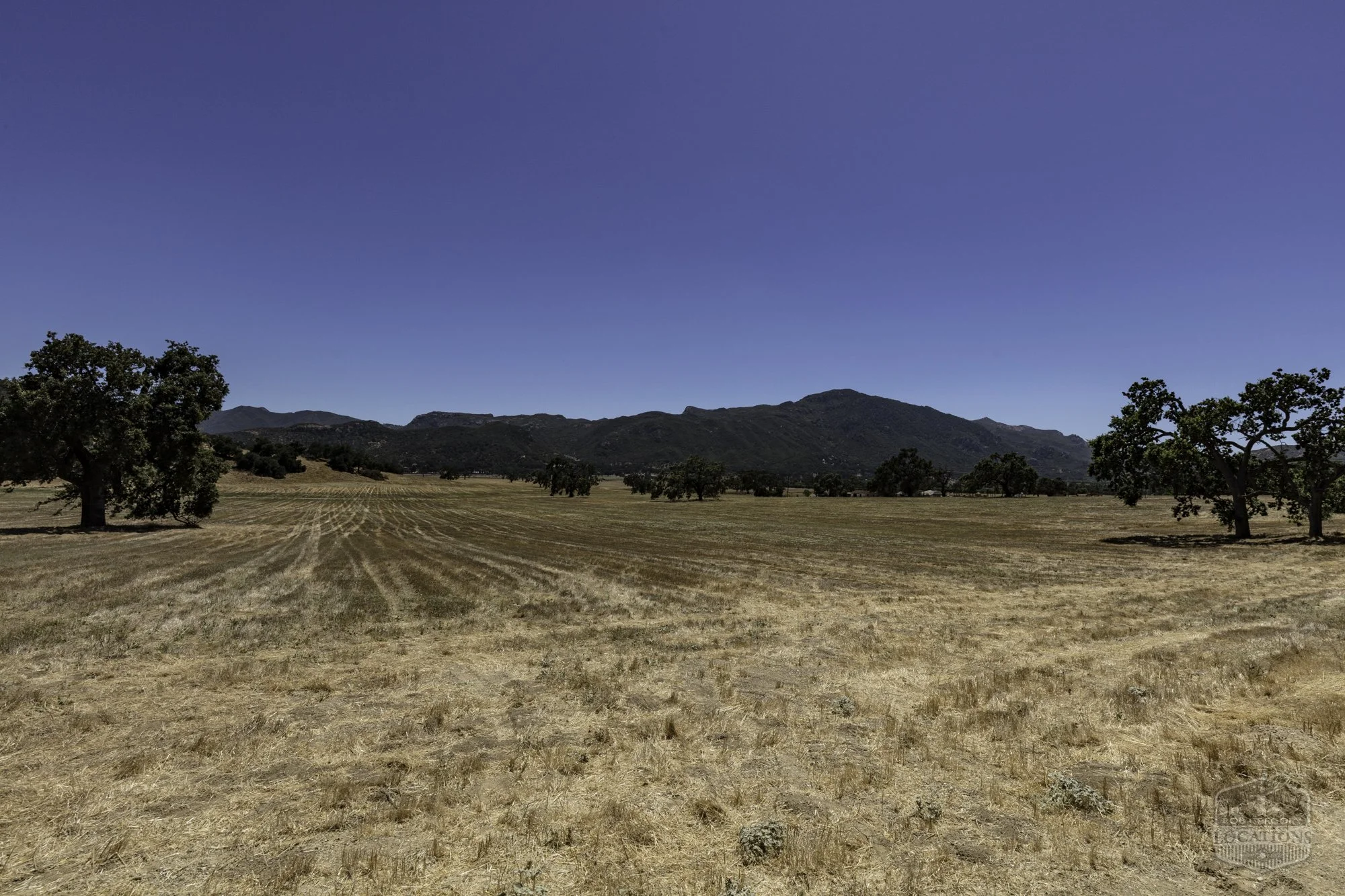 Thorton Ranch Pasture - Ventura Farms -8.jpg