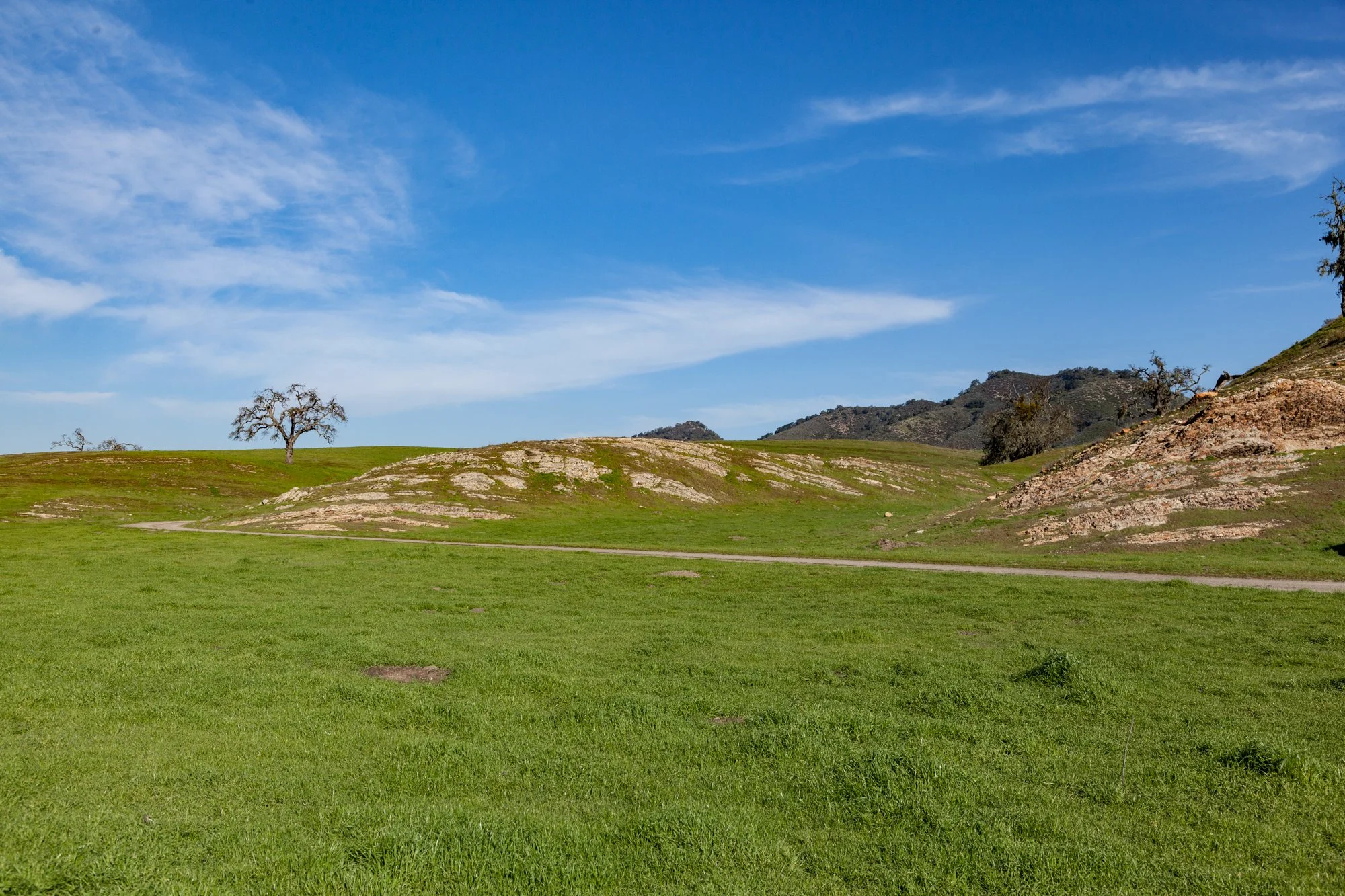 Rnch- Porter Ranch - Santa Maria - 18.jpg
