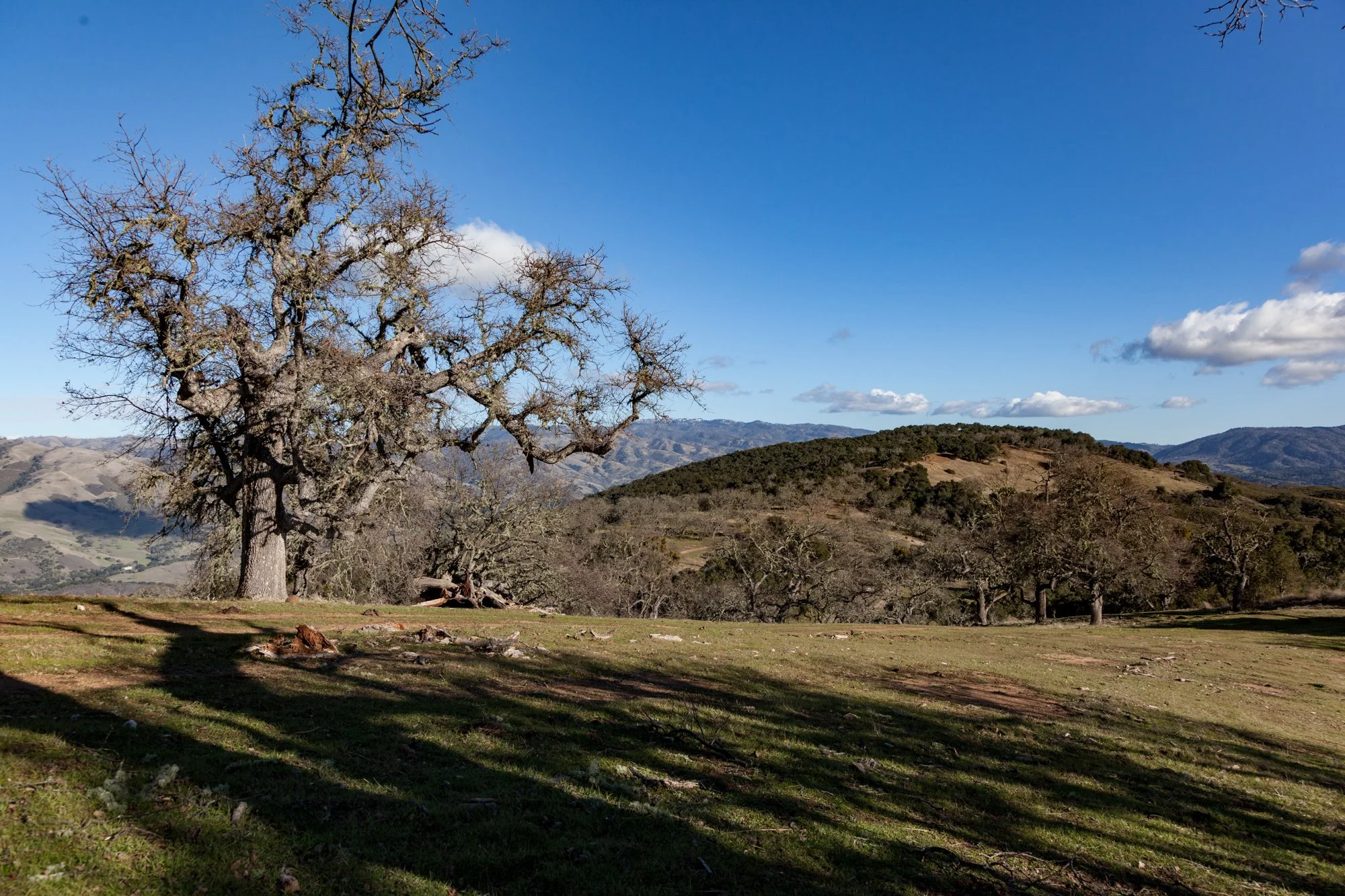 Rnch- Galante Ranch & Vineyards - Carmel Valley - 14.jpg