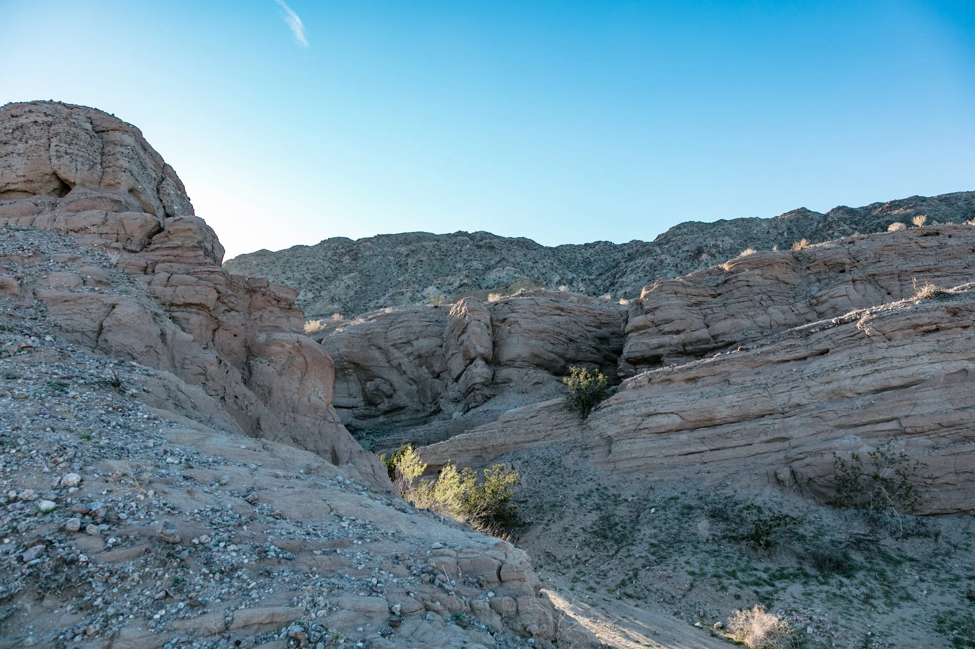 Ntr- Anza Borrego - Badlands - 0219 -76.jpg