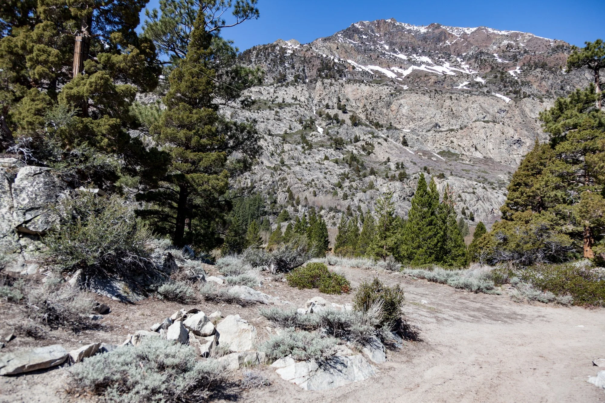 Ntr- Blacks Pond & Meadow - June Lake -8.jpg