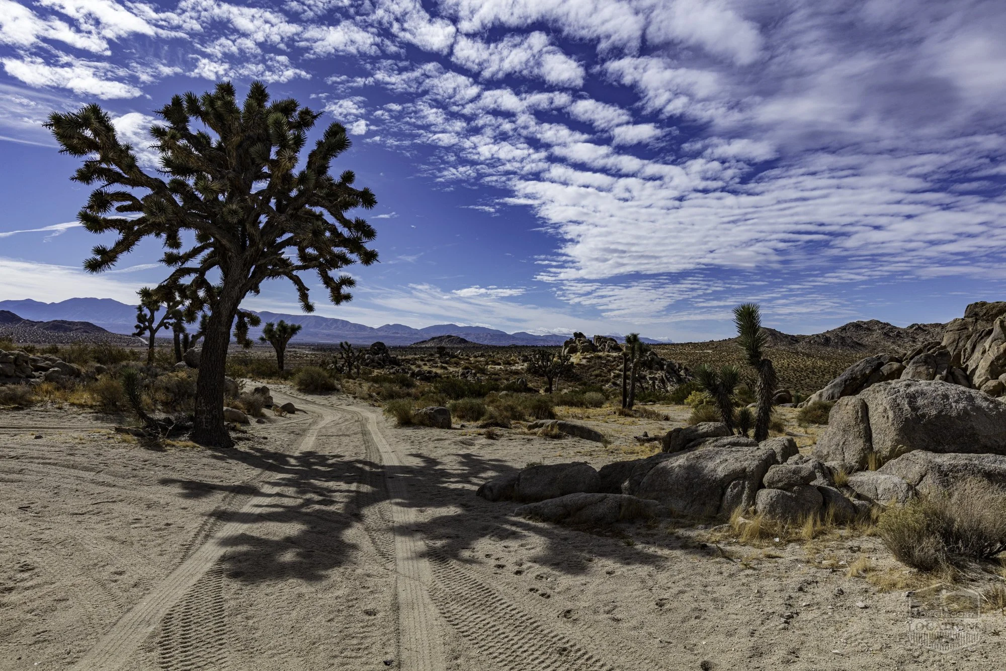 Rocky Buttes - Lancaster - 112424 -026.jpg