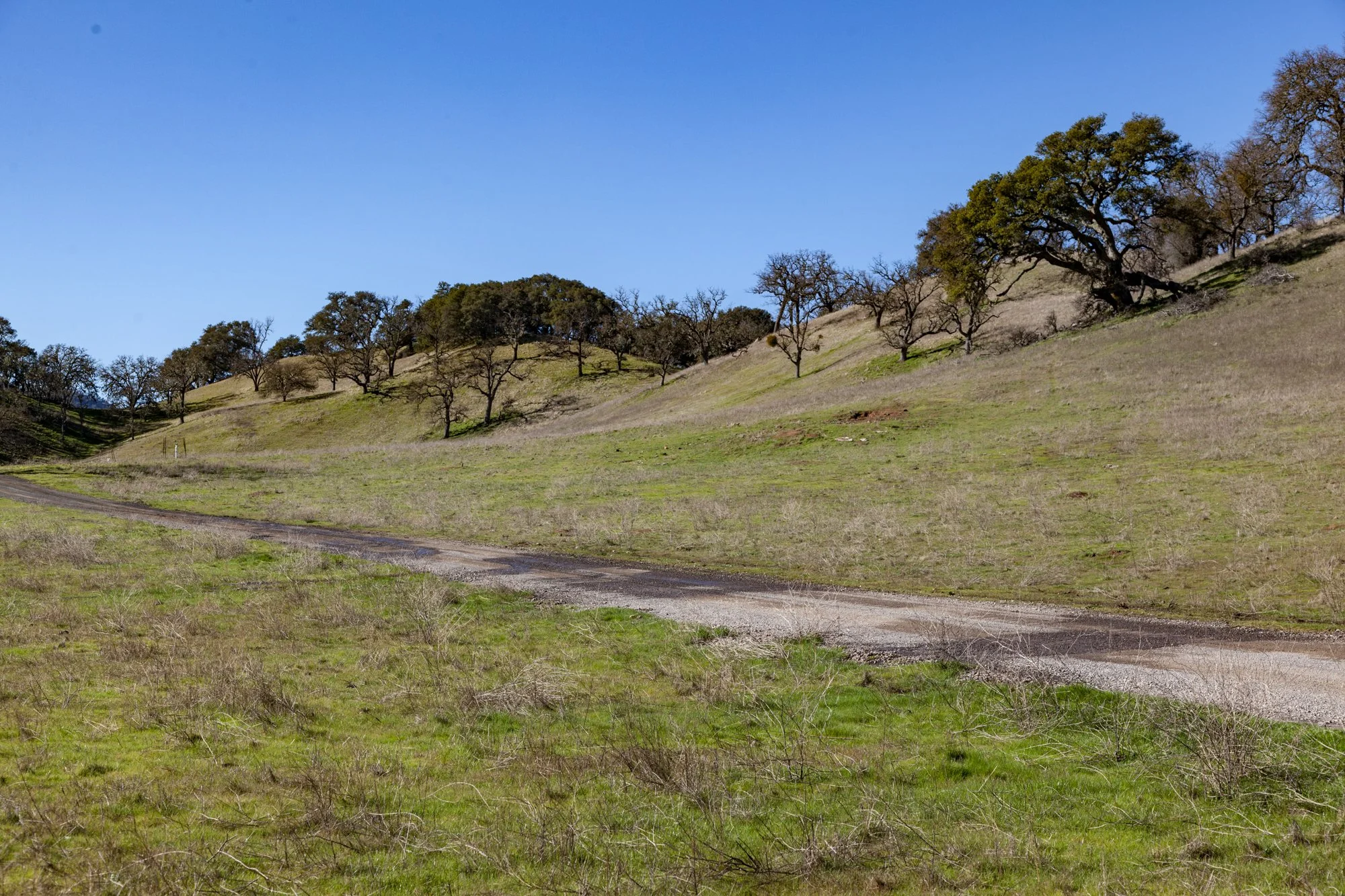 Rnch- Santa Margarita Ranch - 4.jpg