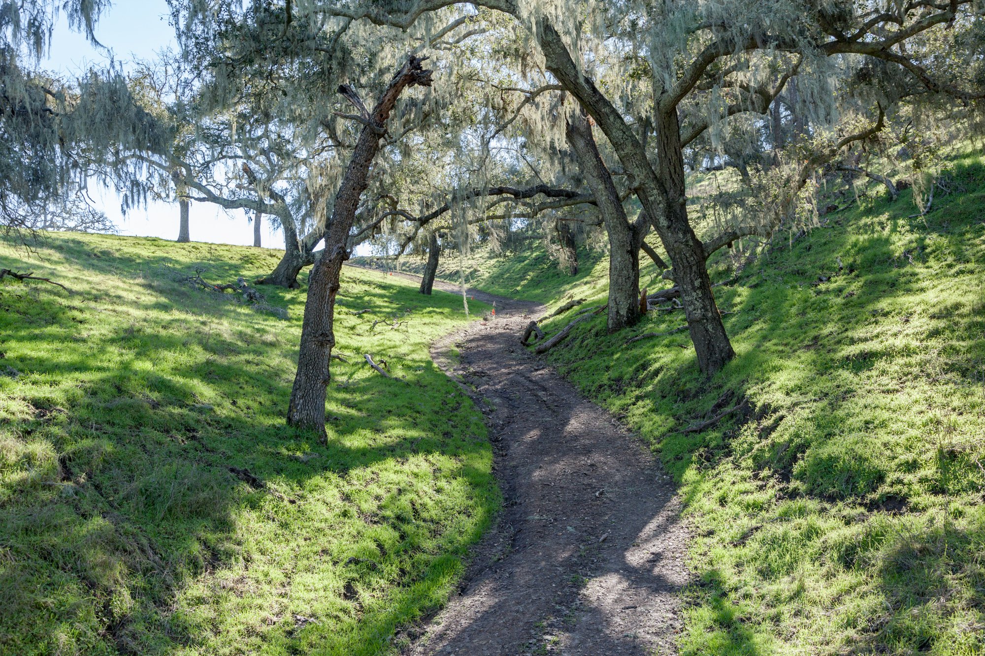 Rnch- Porter Ranch - Santa Maria - 59.jpg
