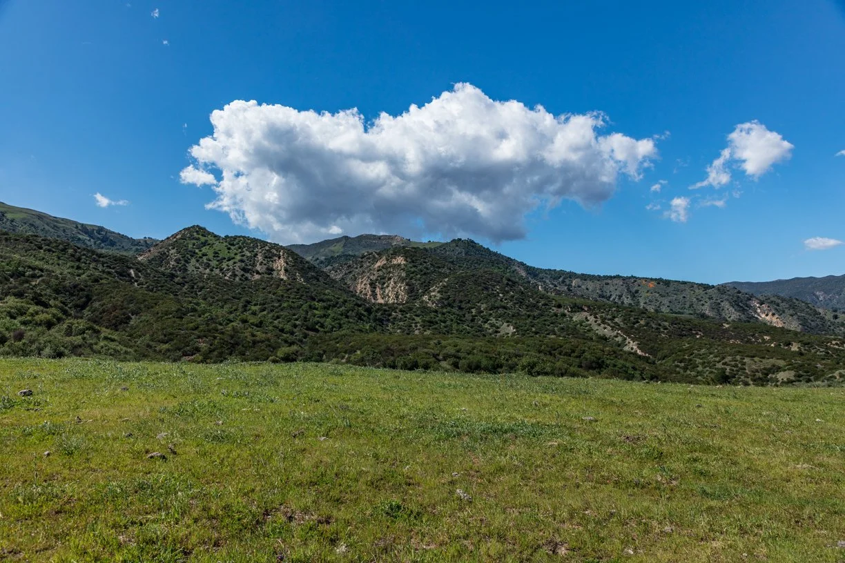 Rancho Temescal - Upper Plot 155 - Piru -11.jpg