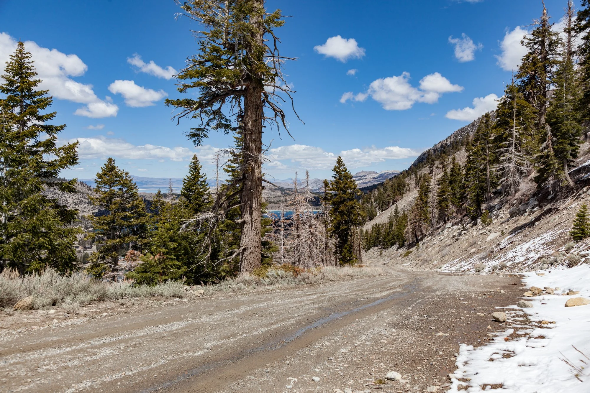 Ntr- June Mtn - Maint Rd -25.jpg