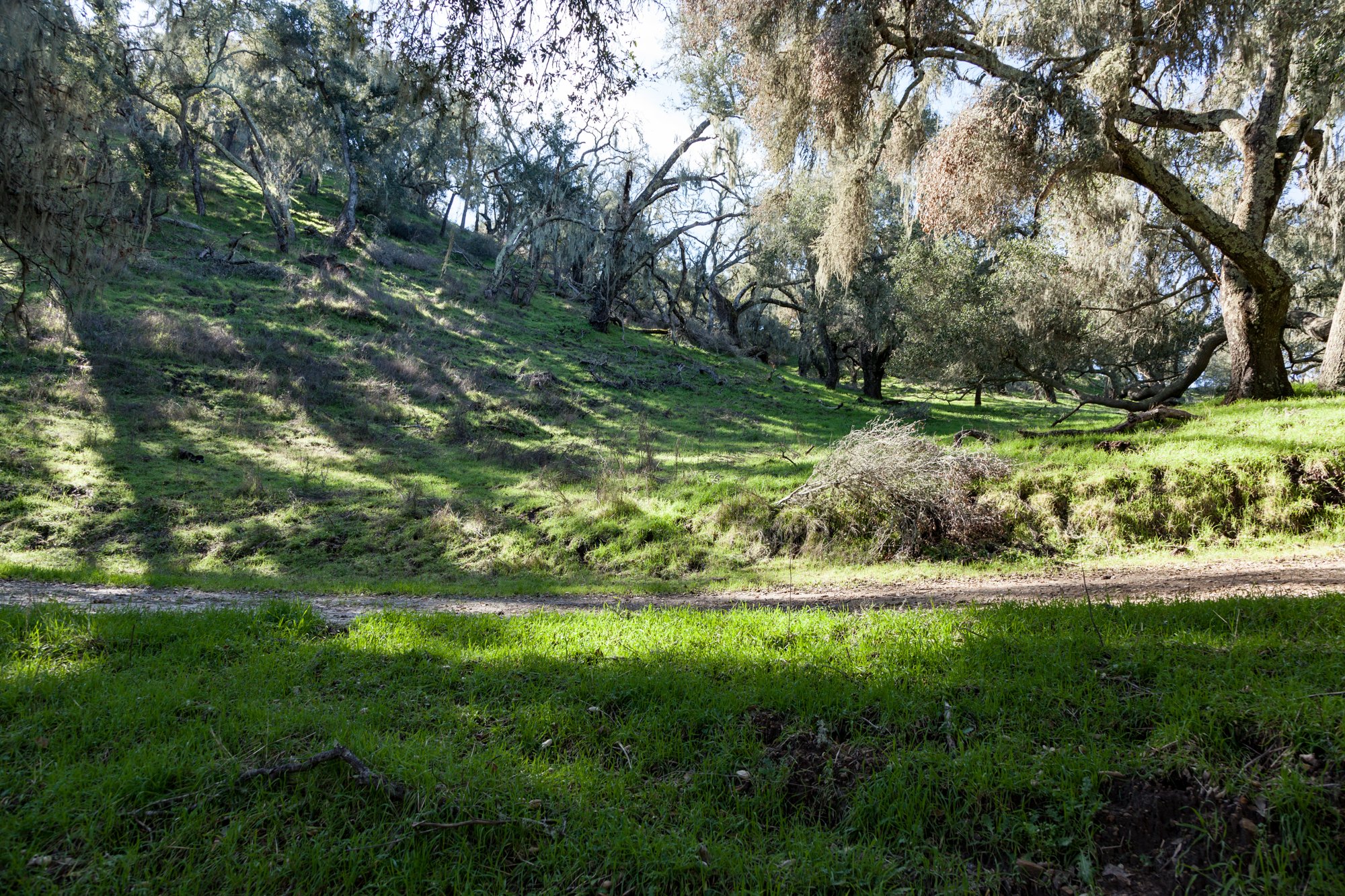 Rnch- Porter Ranch - Santa Maria - 55.jpg