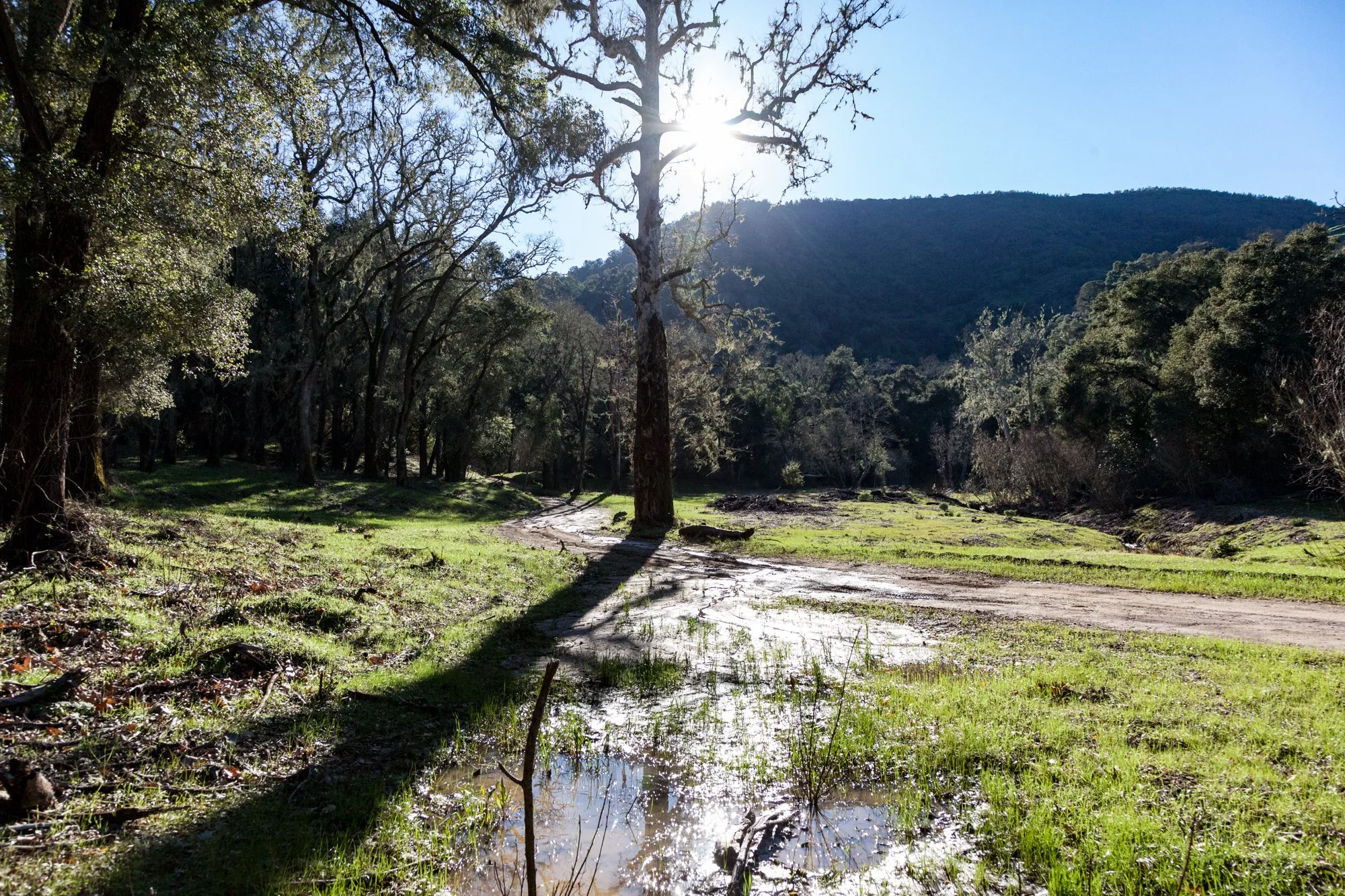 Rnch- Santa Margarita Ranch - 68.jpg