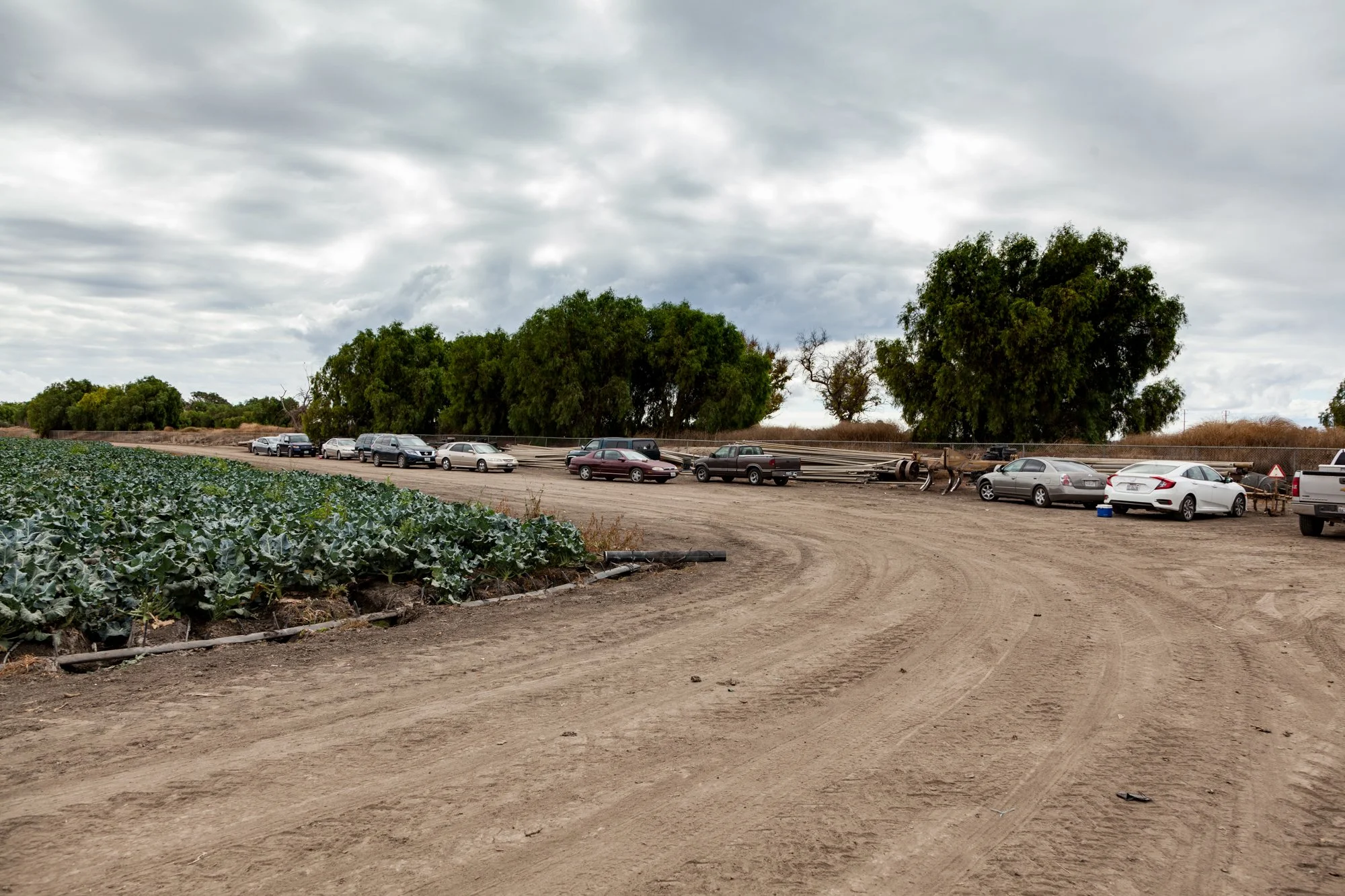 Farm- Uesugi Farms - Camarillo - 42.jpg