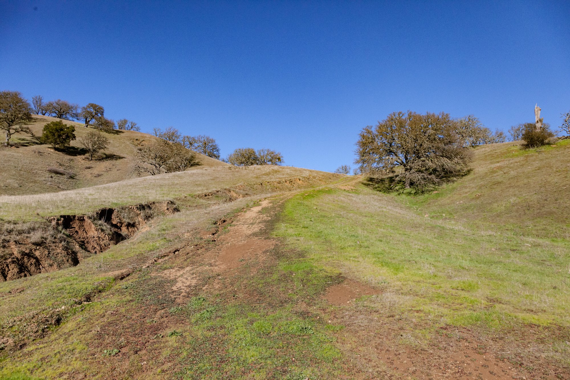 Rnch- Santa Margarita Ranch - 39.jpg