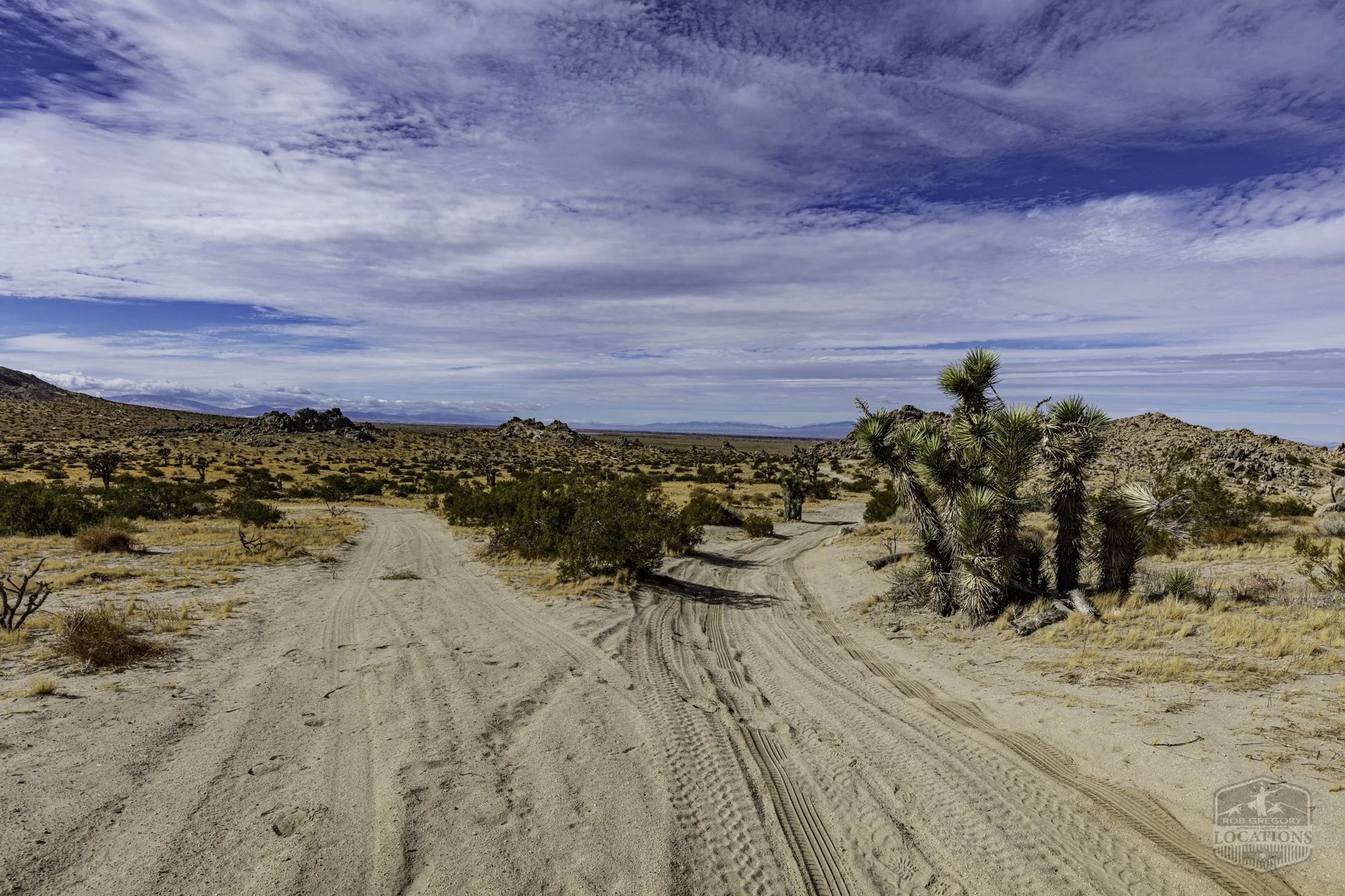 Rocky Buttes - Lancaster - 112424 -059.jpg
