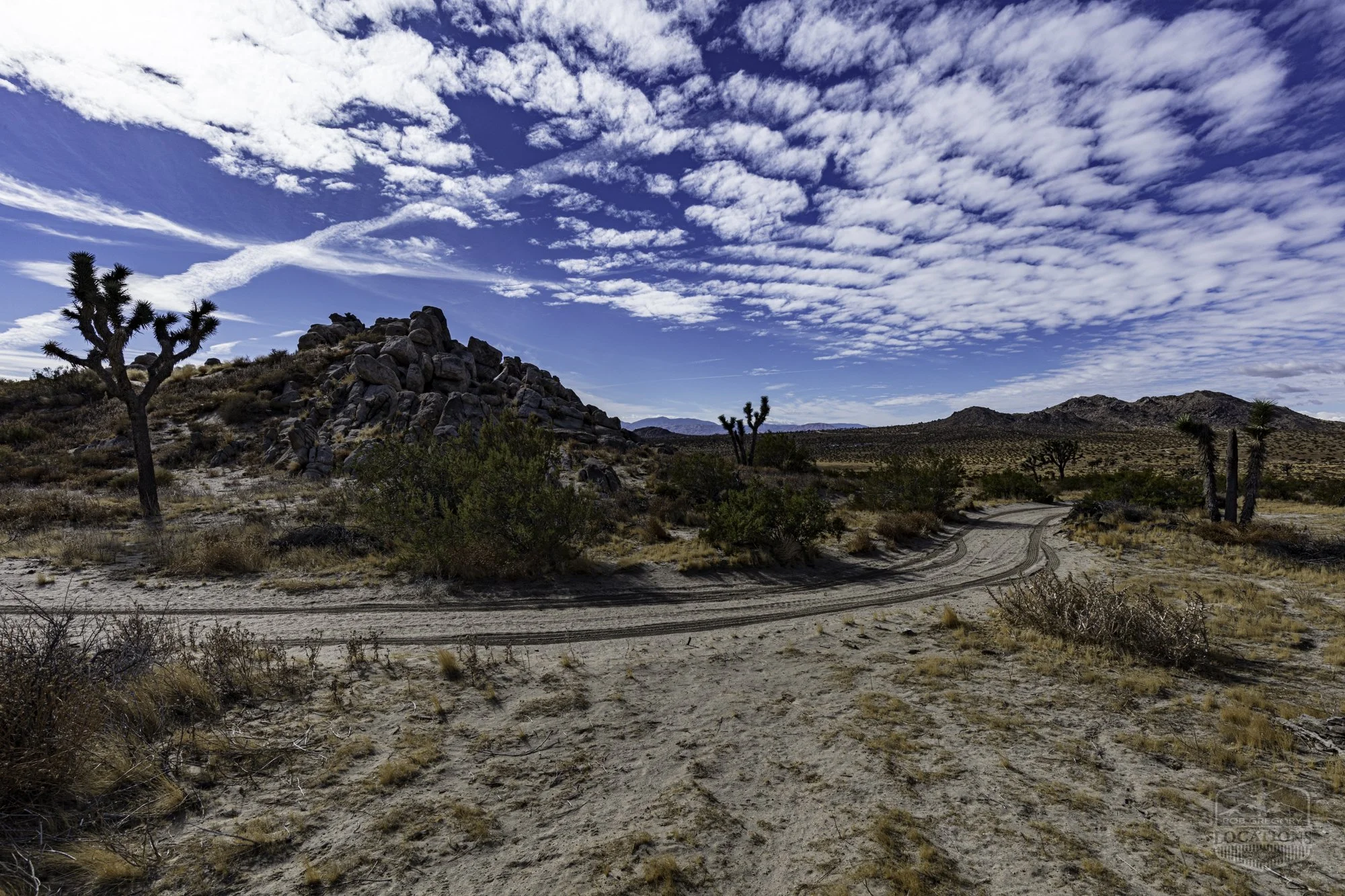Rocky Buttes - Lancaster - 112424 -019.jpg