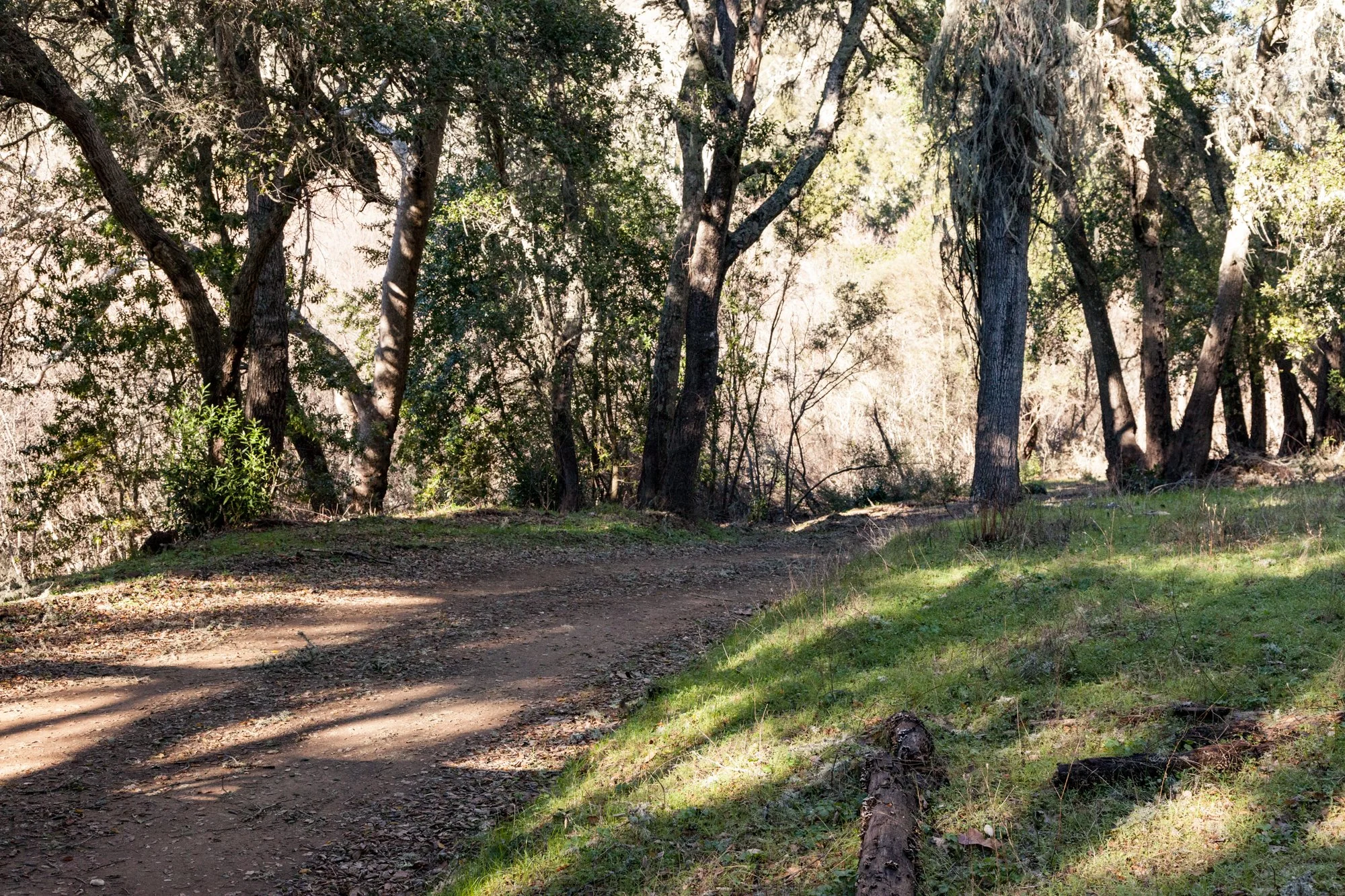 Rnch- Santa Margarita Ranch - 62.jpg