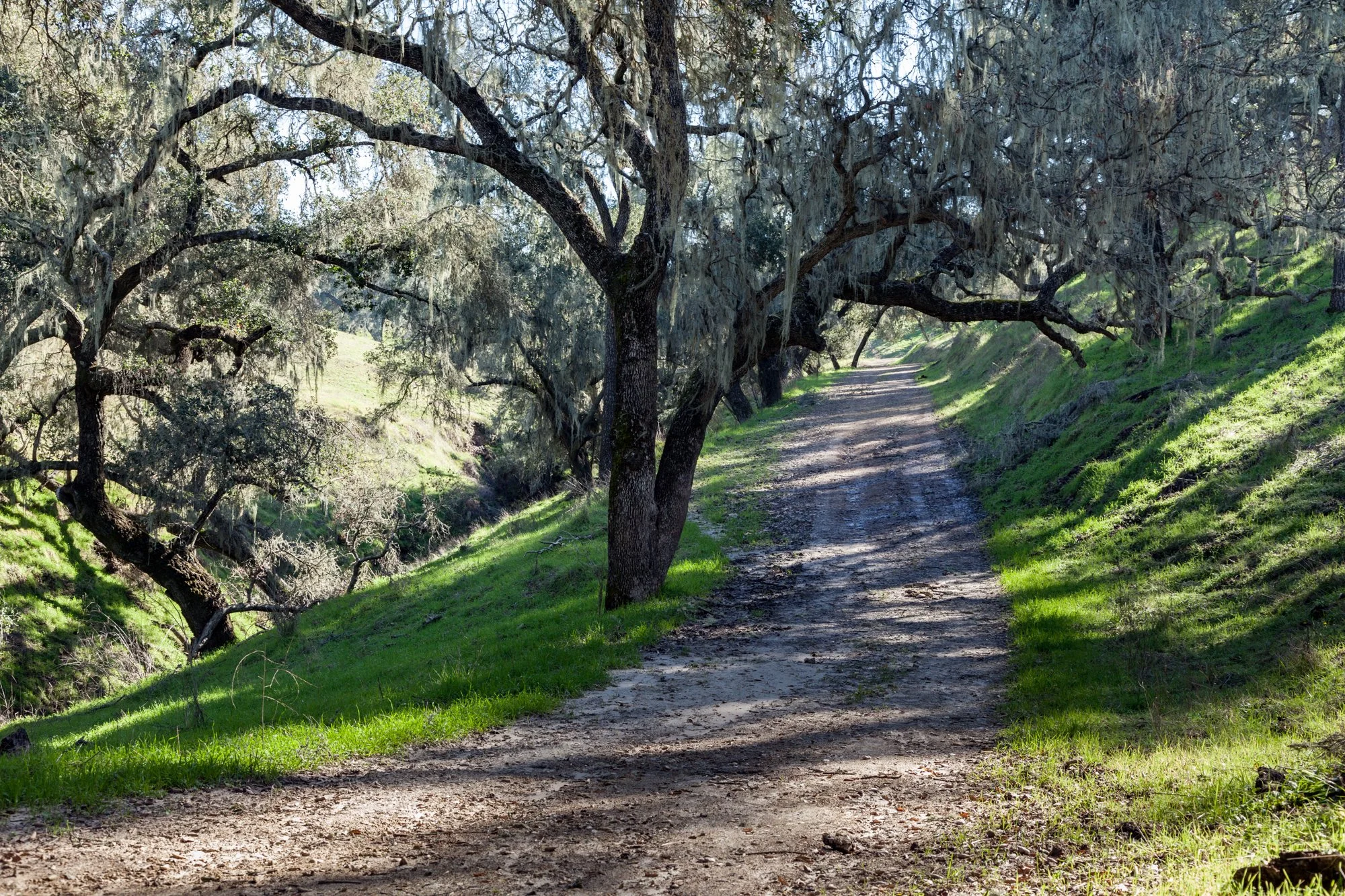 Rnch- Porter Ranch - Santa Maria - 53.jpg