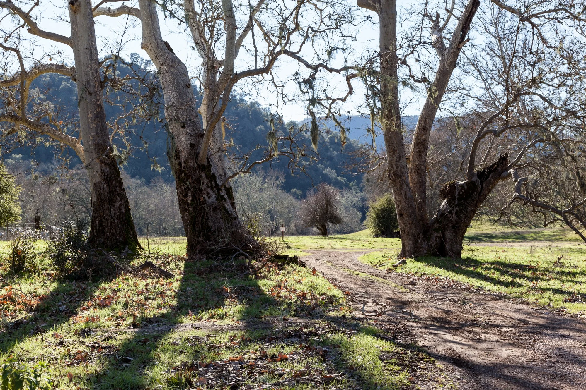 Rnch- Santa Margarita Ranch - 17.jpg