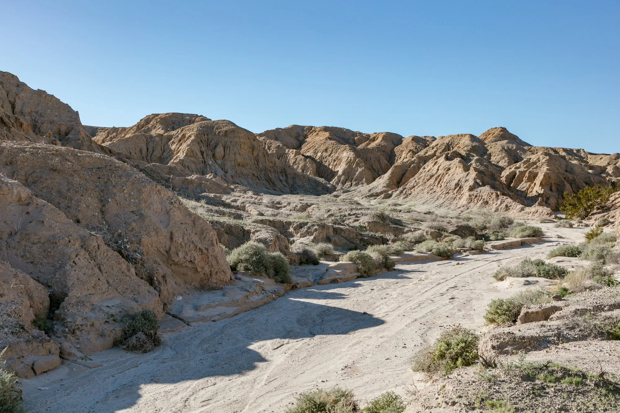 Ntr- Anza Borrego - Badlands - 0219 -14.jpg