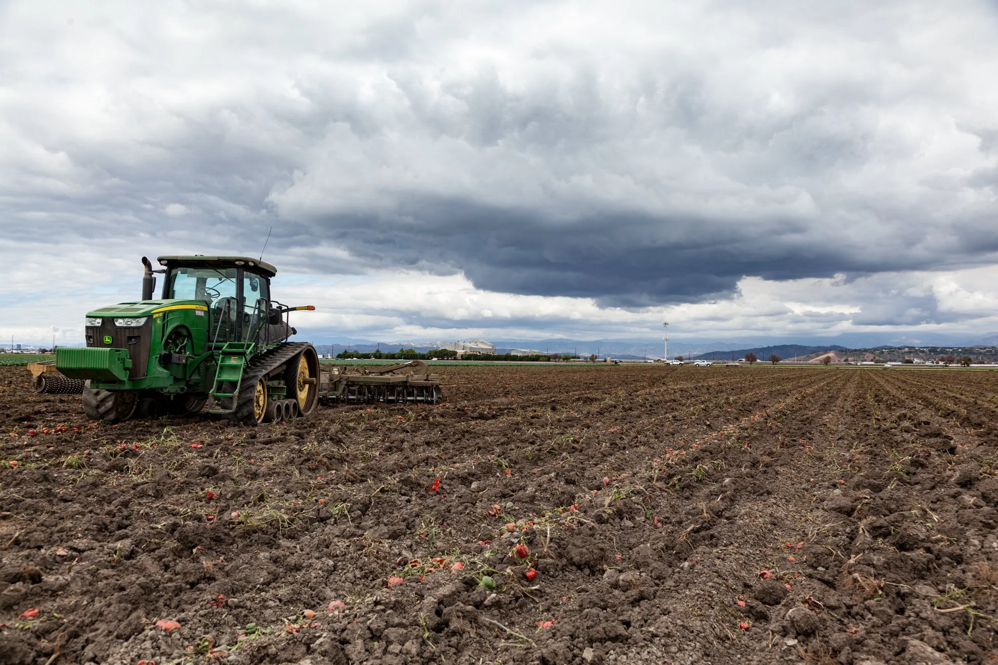 Farm- Uesugi Farms - Camarillo - 26.jpg
