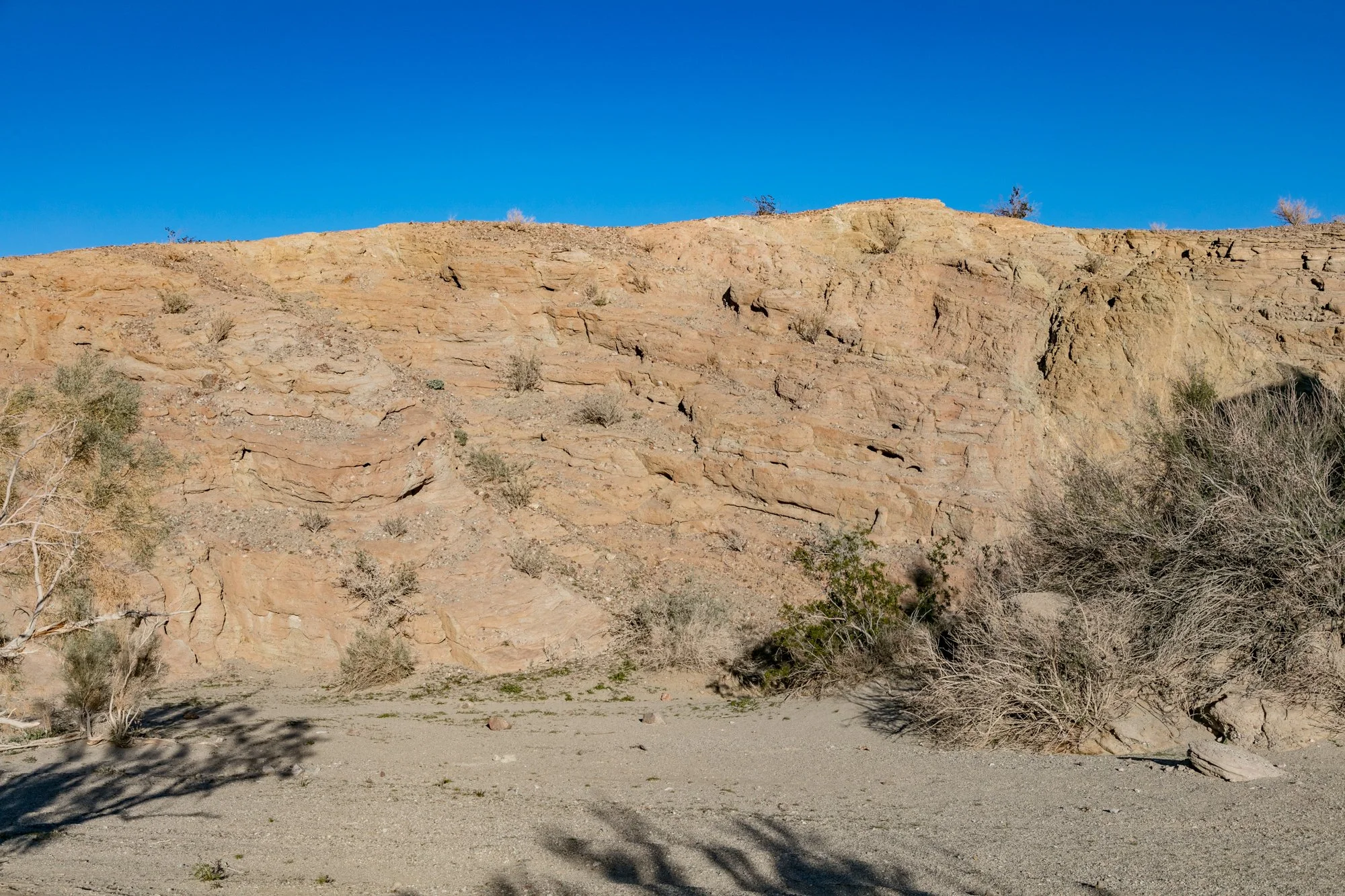 Ntr- Anza Borrego - Badlands - 0219 -71.jpg