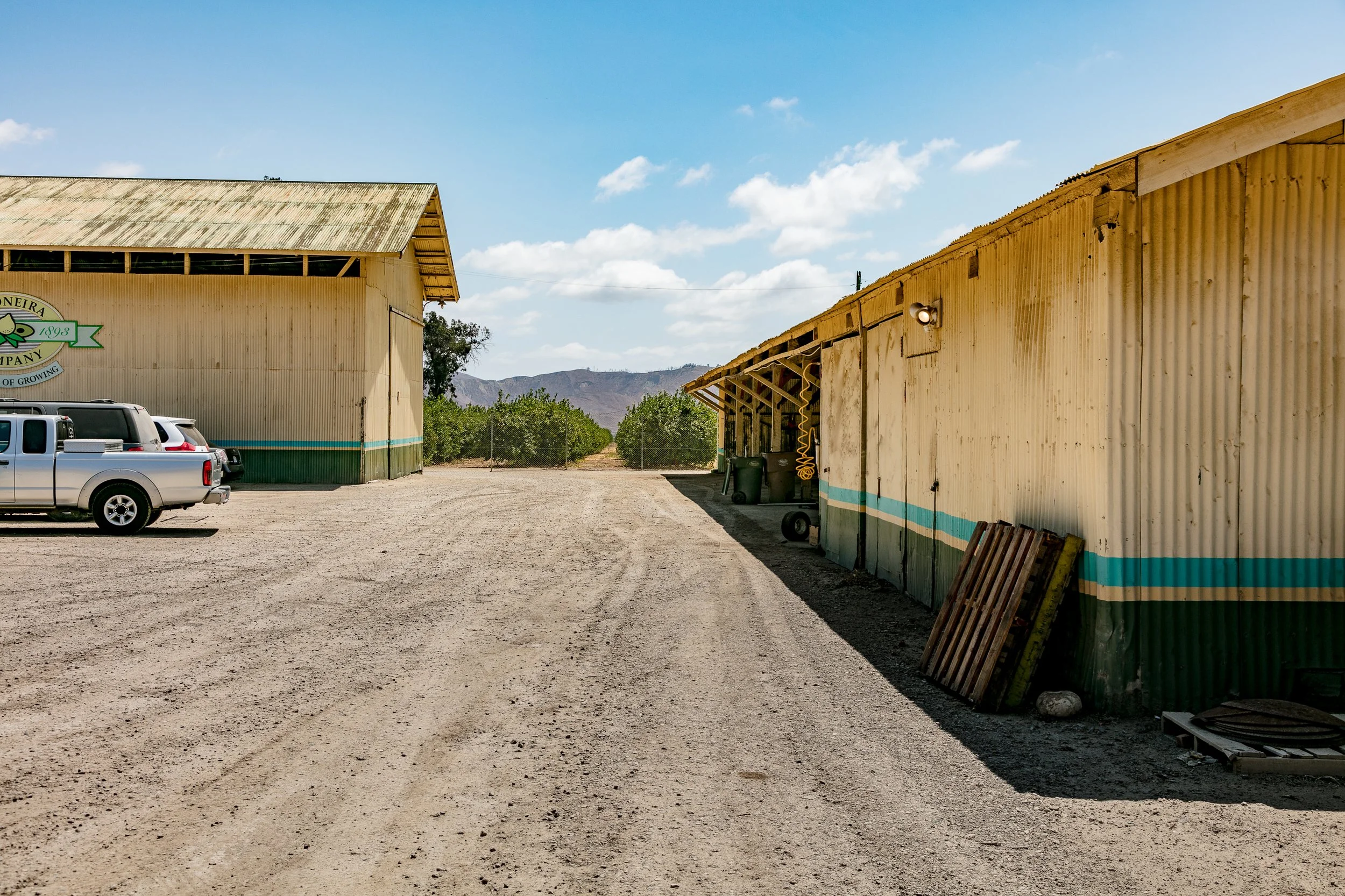 Limoneira Farms - Santa Paula -55.jpg