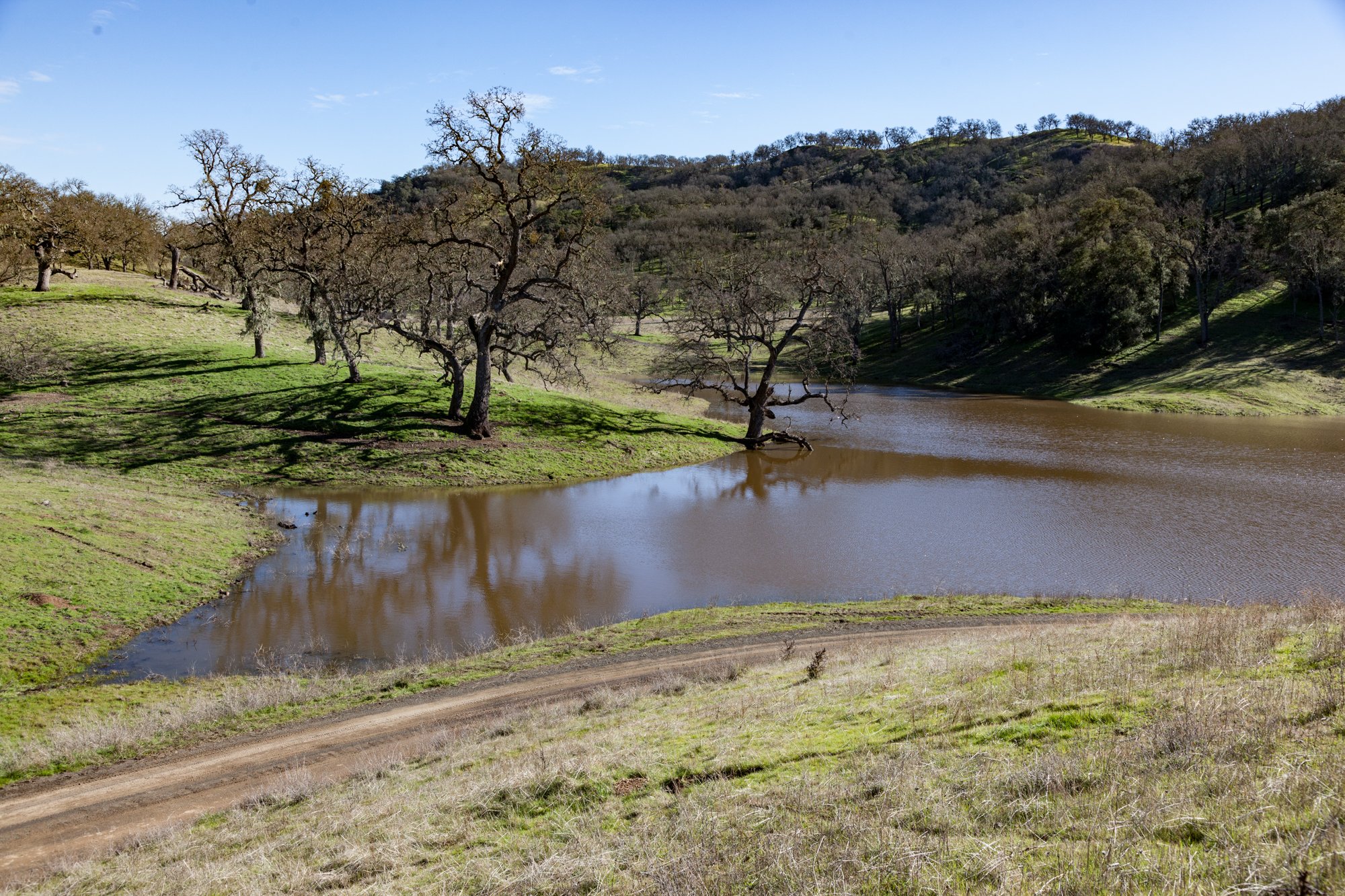 Rnch- Santa Margarita Ranch - 9.jpg