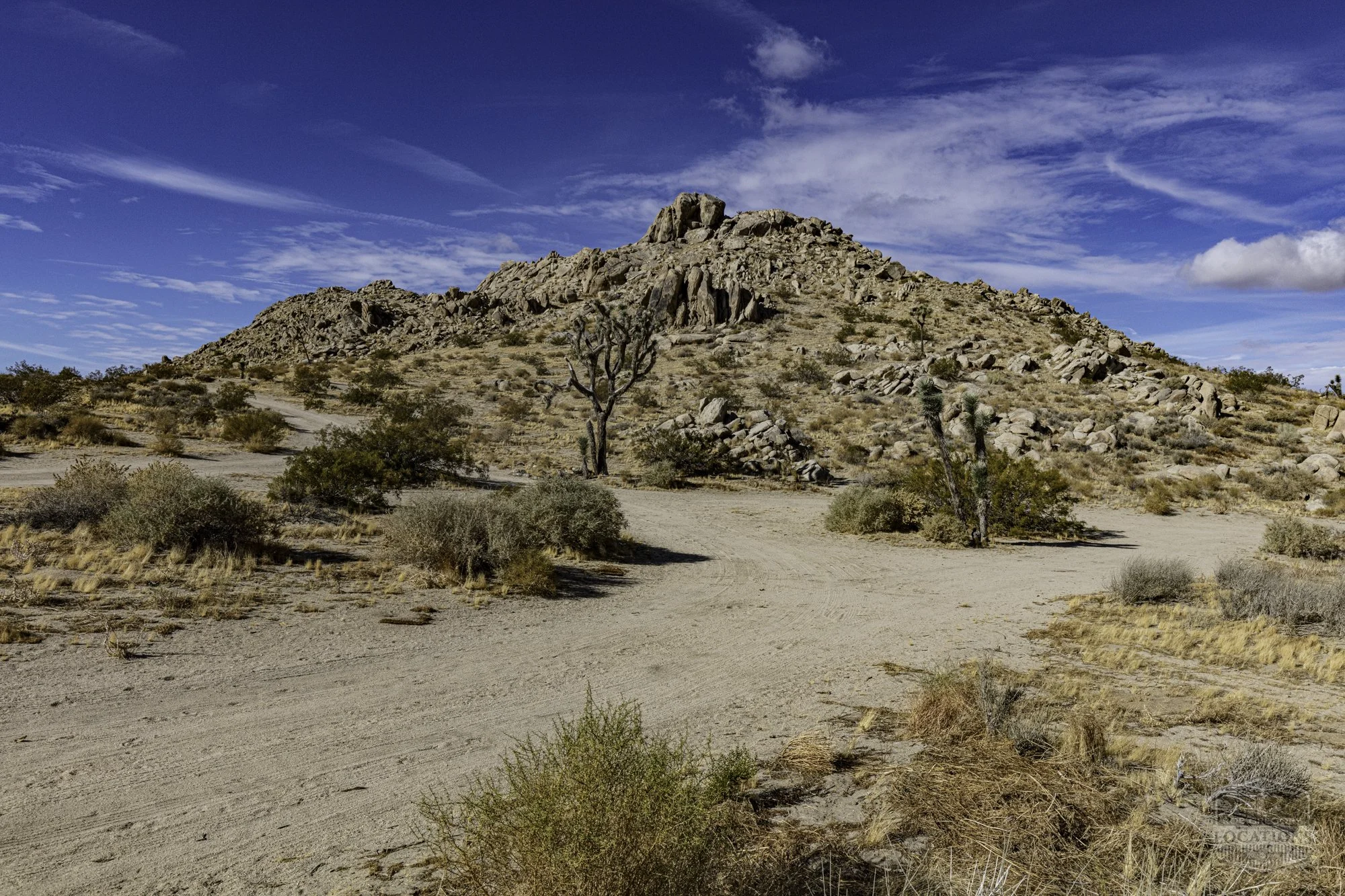Rocky Buttes - Lancaster - 112424 -003.jpg