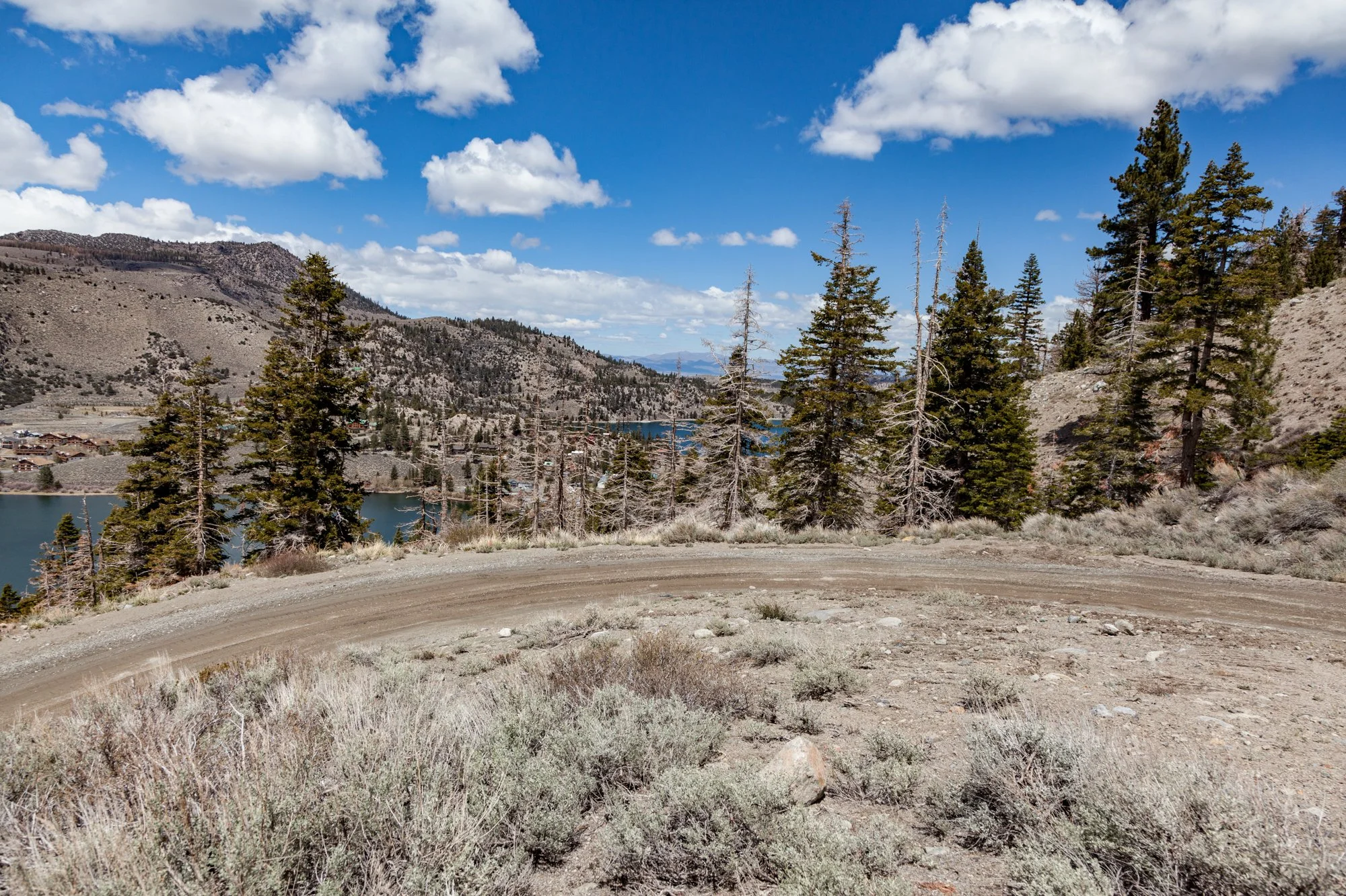 Ntr- June Mtn - Maint Rd -10.jpg