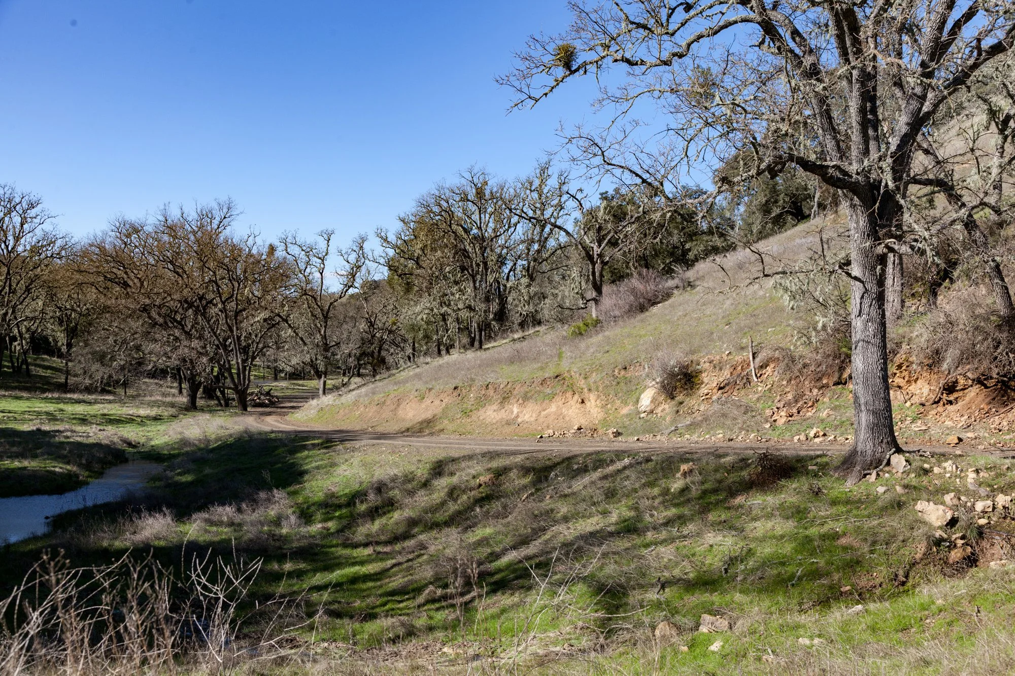 Rnch- Santa Margarita Ranch - 14.jpg