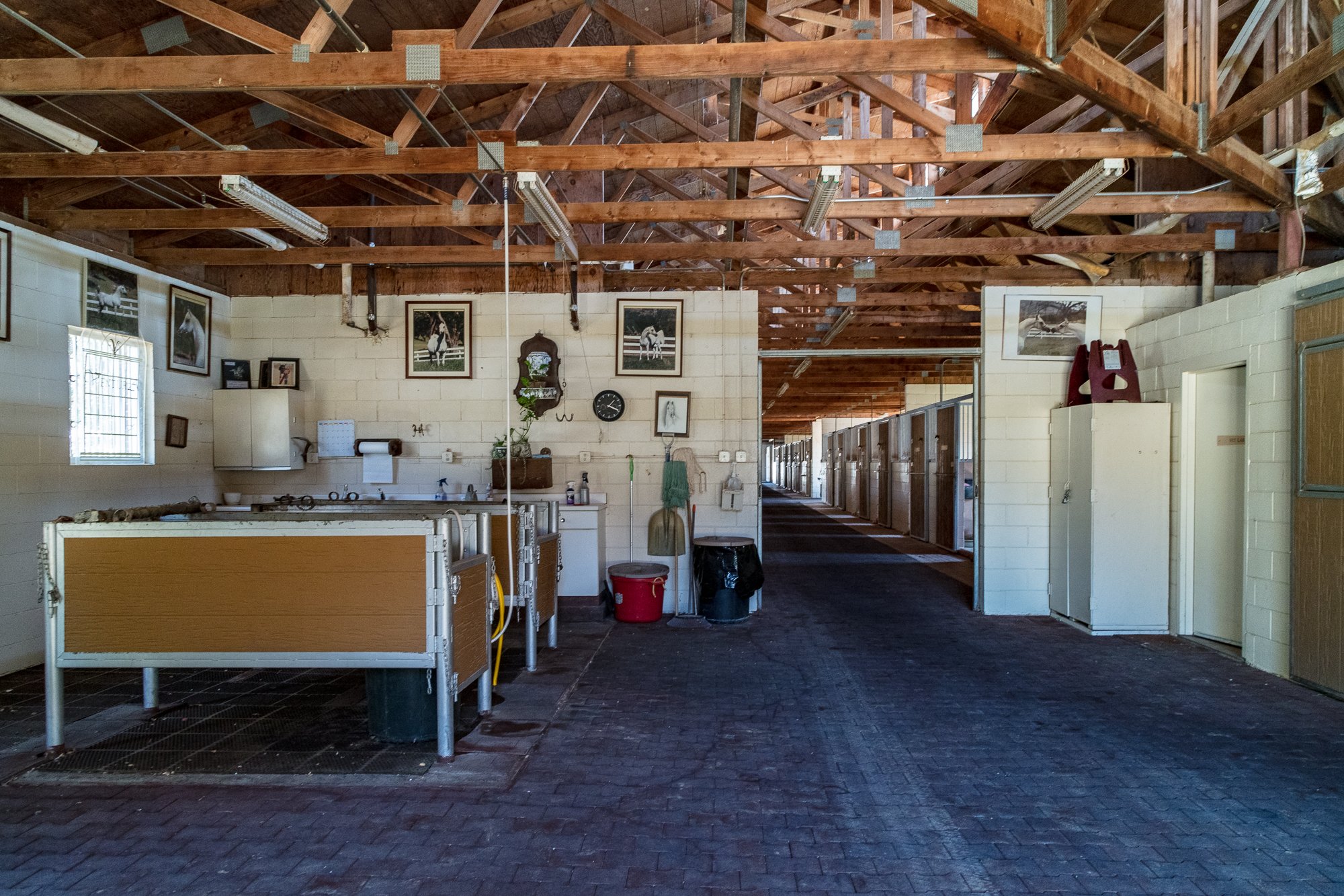 Ventura Farms - Arabian Center -13.jpg