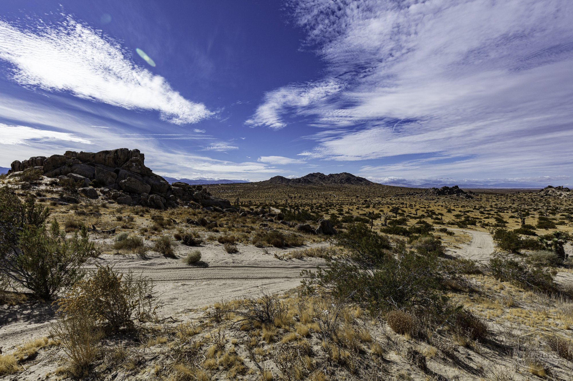 Rocky Buttes - Lancaster - 112424 -053.jpg
