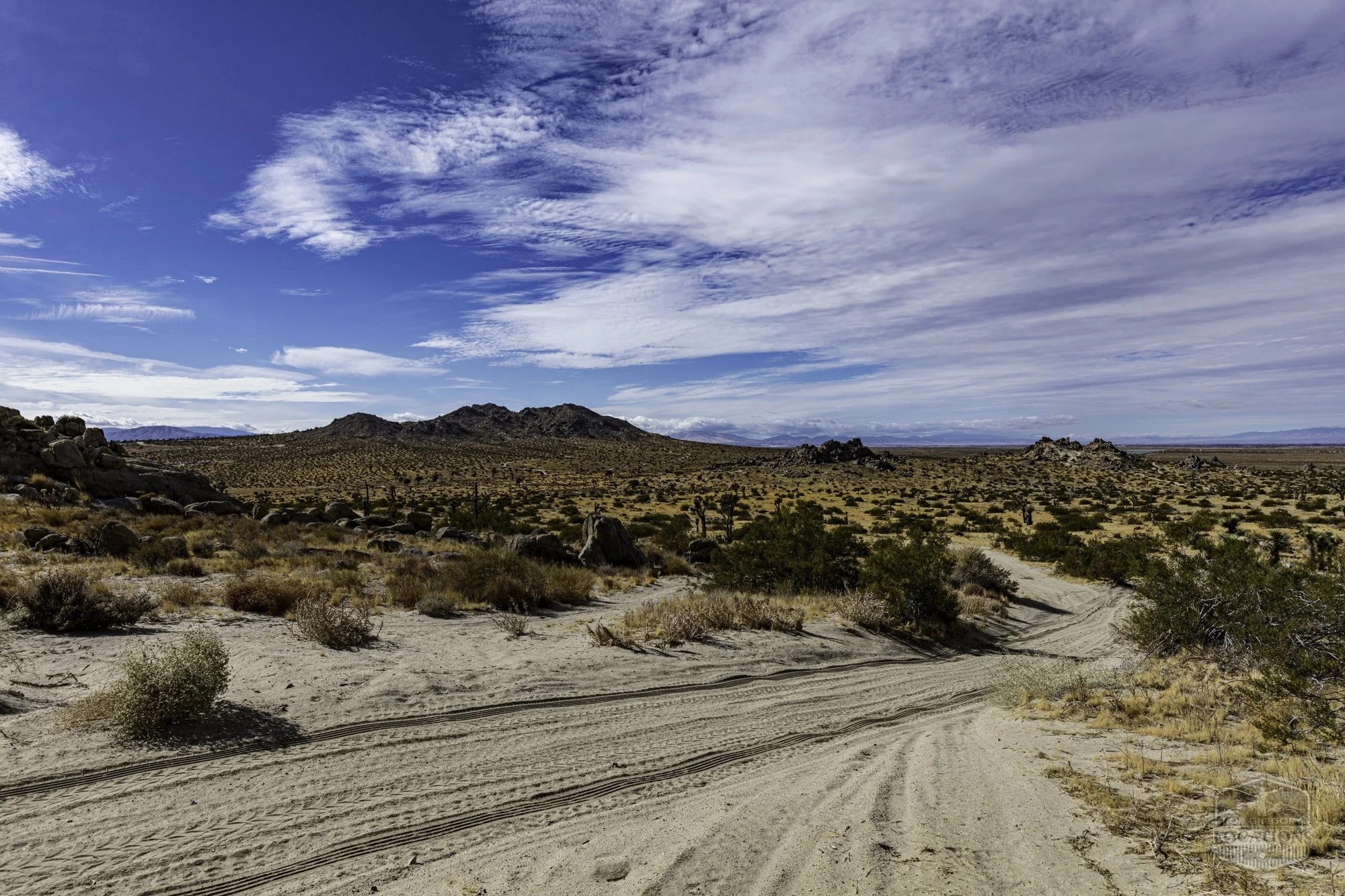 Rocky Buttes - Lancaster - 112424 -054.jpg