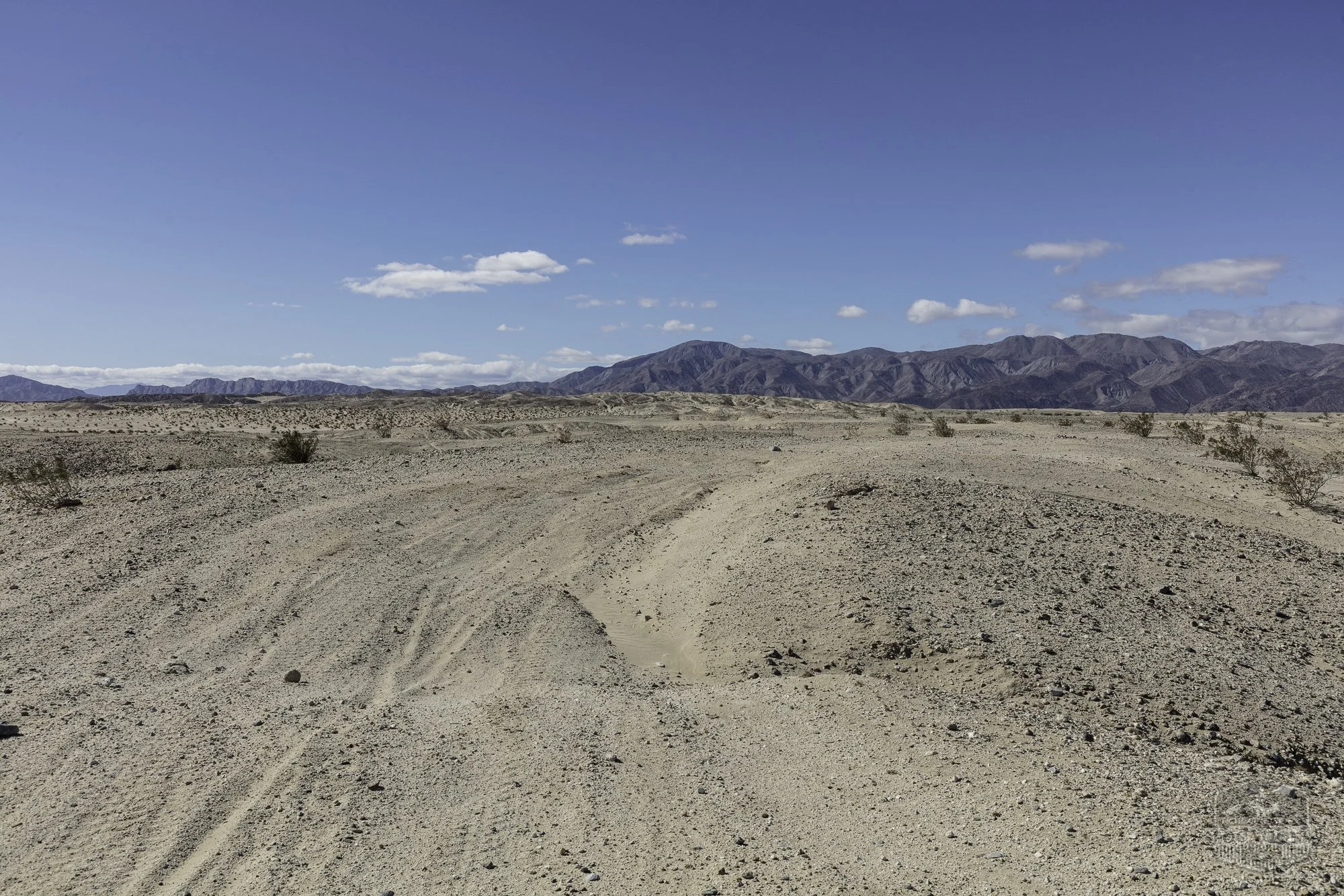 Ocotillo Wells SVRA - County Line Rd @ Dunes - 101525 -9.jpg