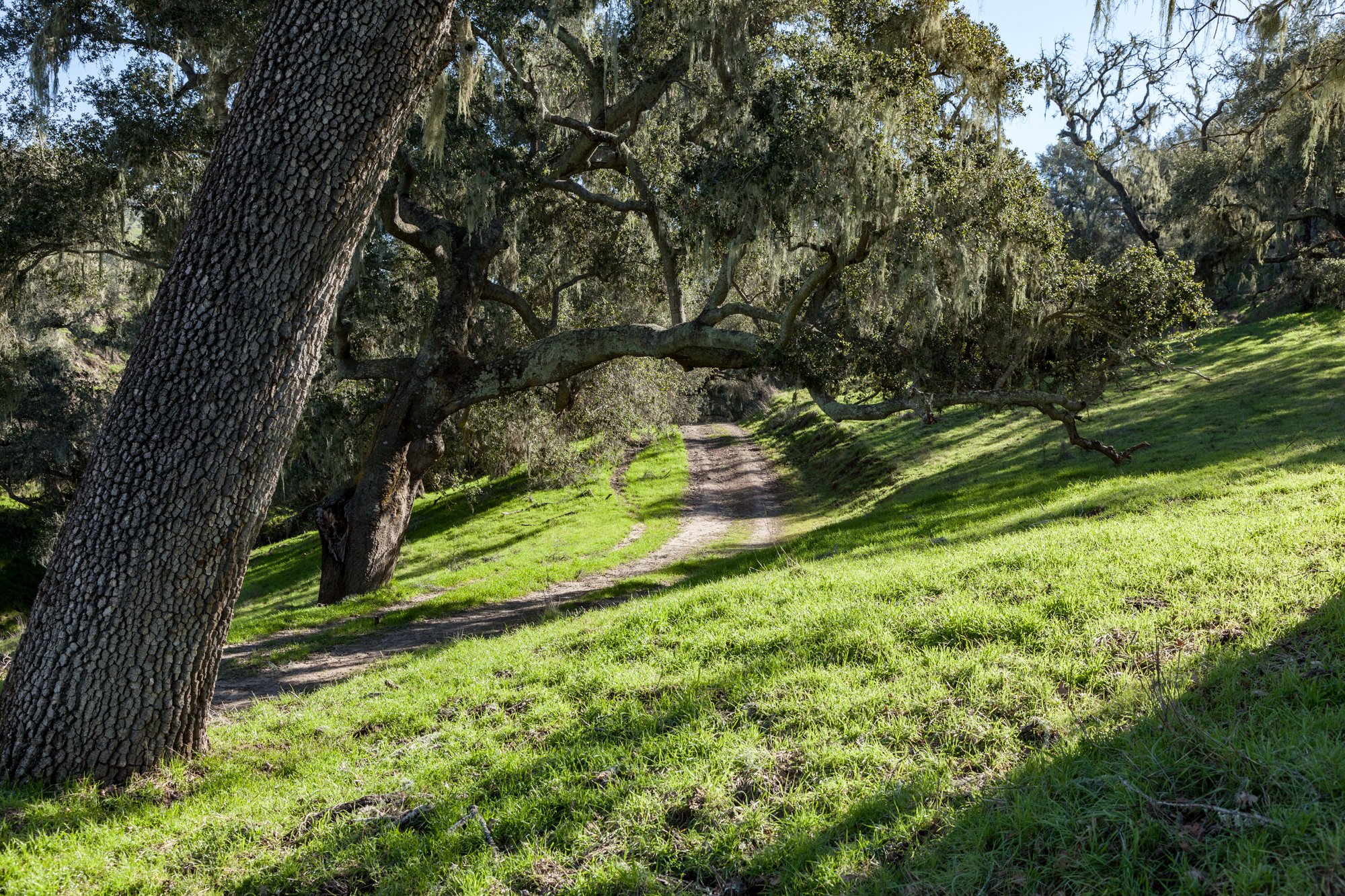 Rnch- Porter Ranch - Santa Maria - 52.jpg