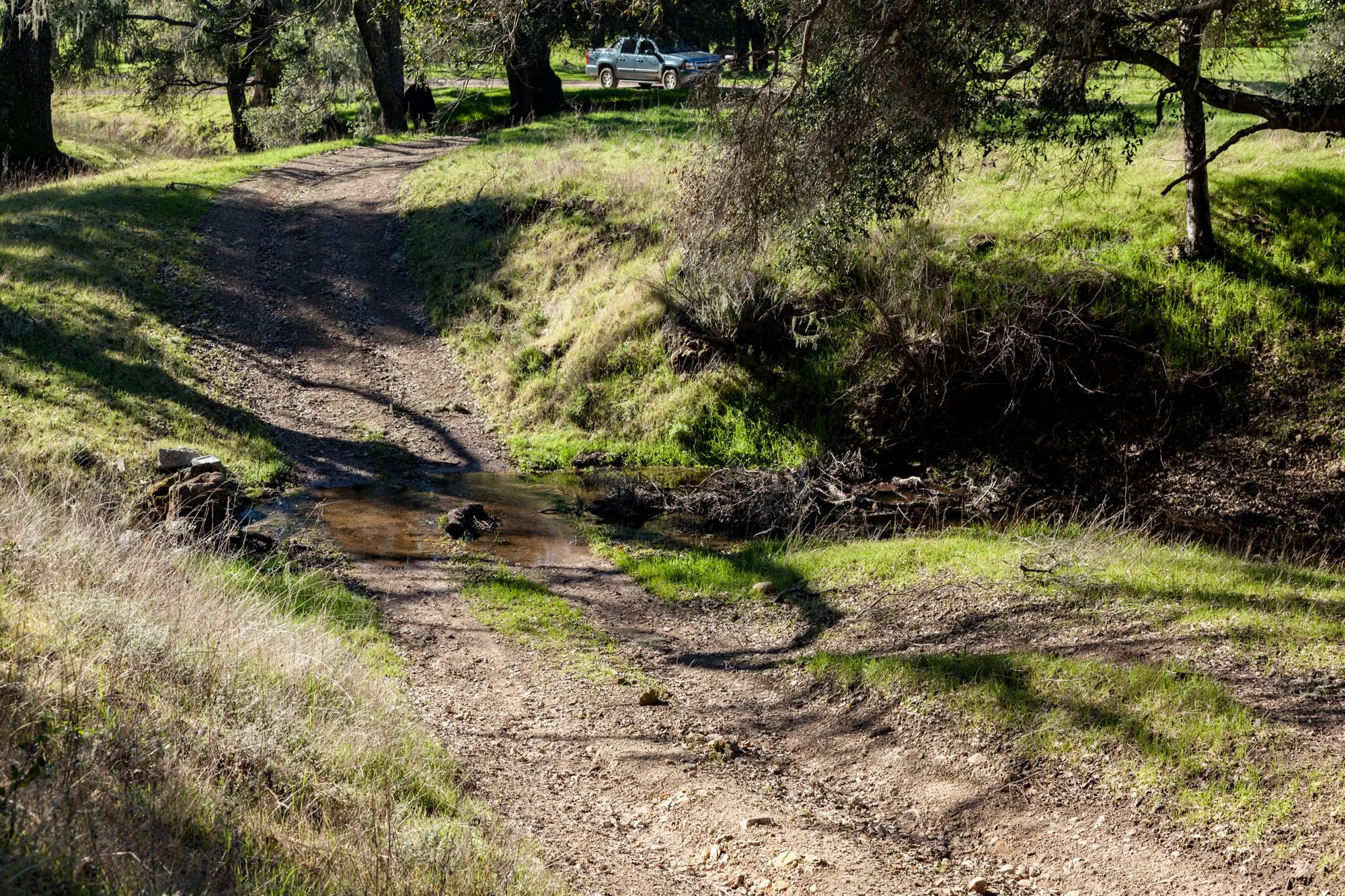 Rnch- Porter Ranch - Santa Maria - 37.jpg