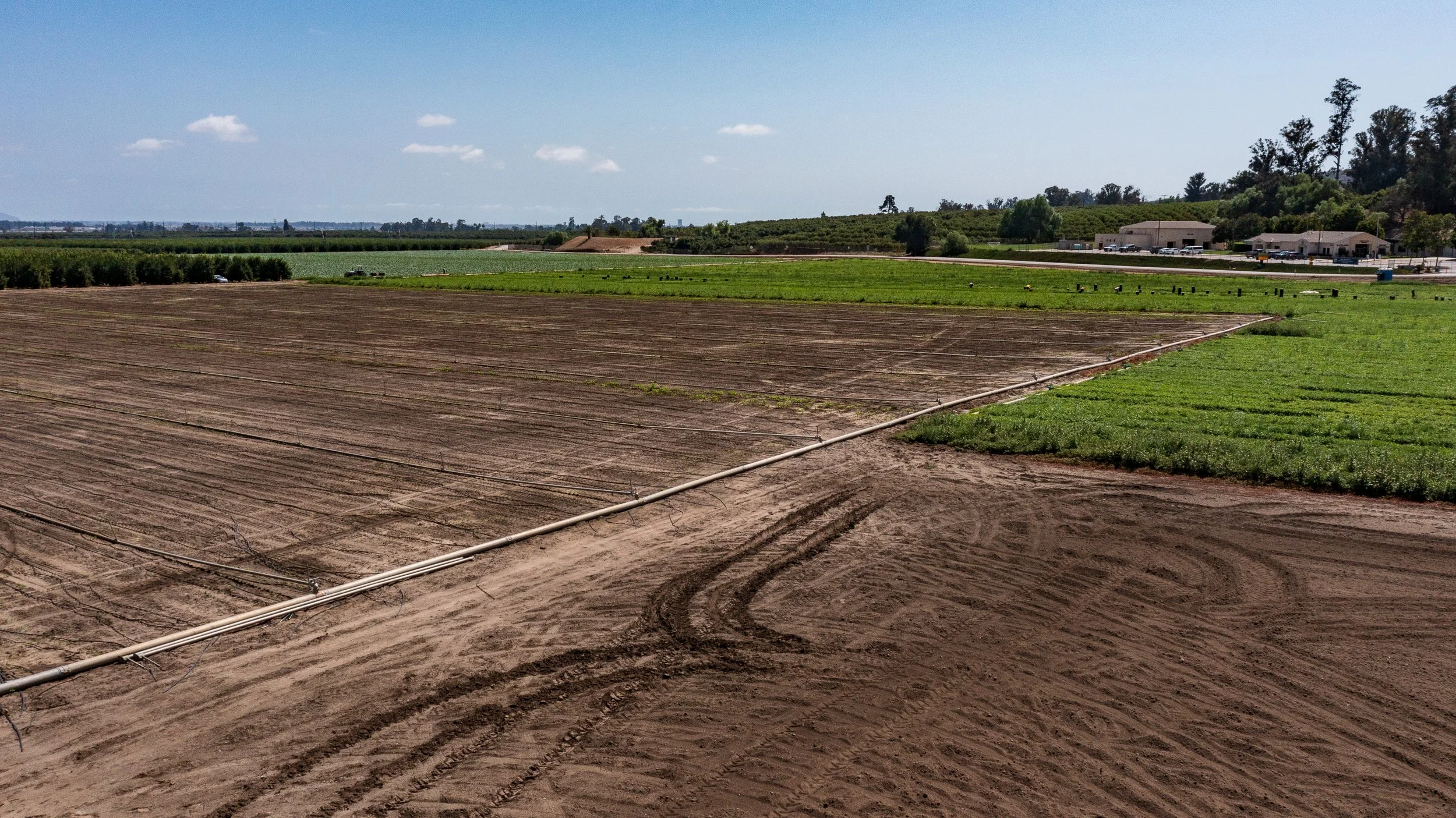 Limoneira Farms - Drone - Santa Paula -15.jpg