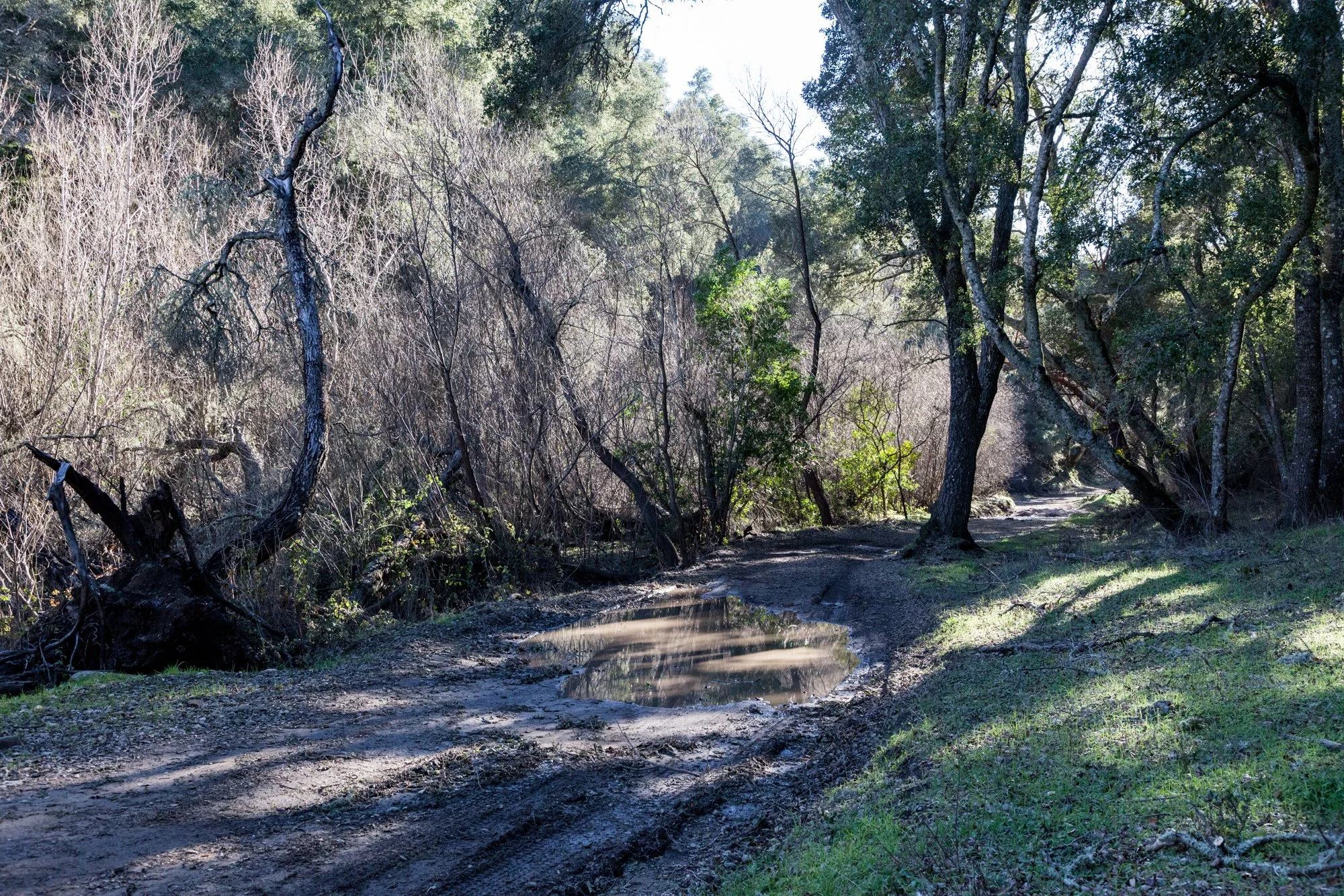 Rnch- Santa Margarita Ranch - 54.jpg