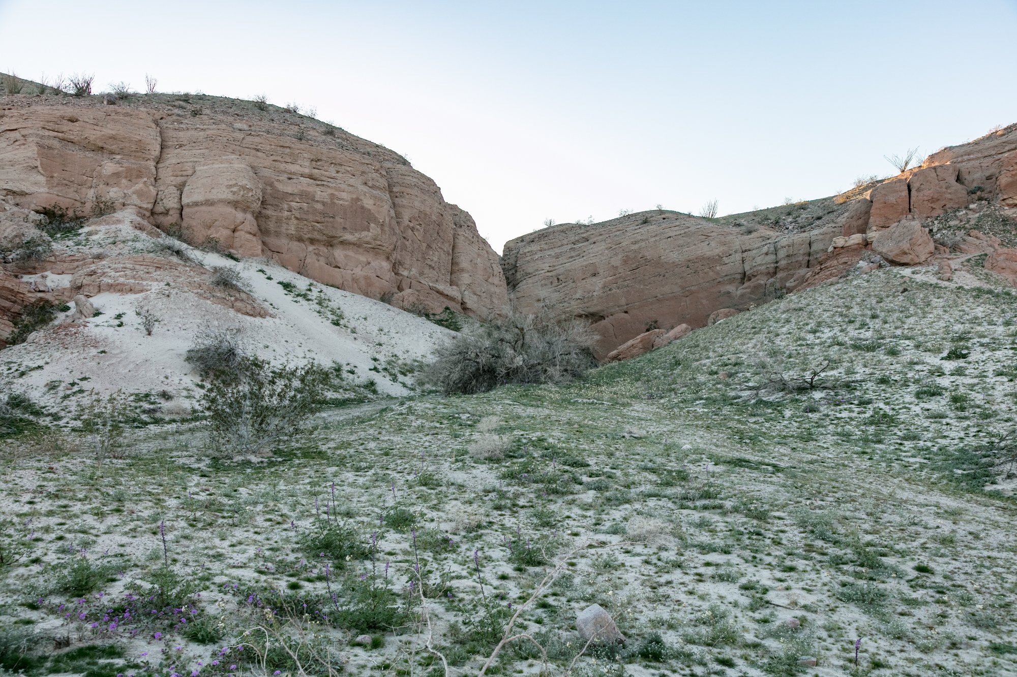 Ntr- Anza Borrego - Badlands - 0219 -90.jpg
