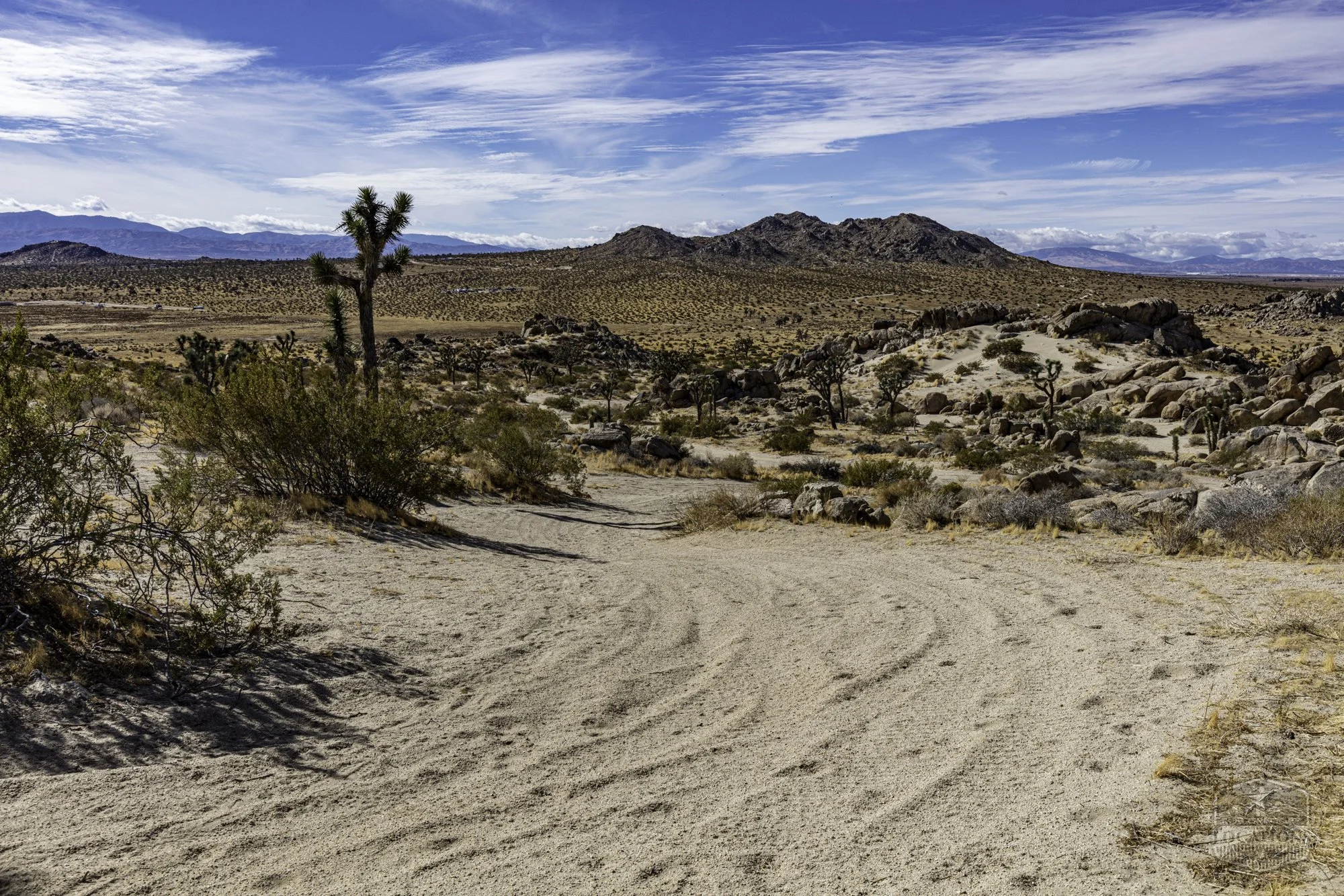 Rocky Buttes - Lancaster - 112424 -043.jpg