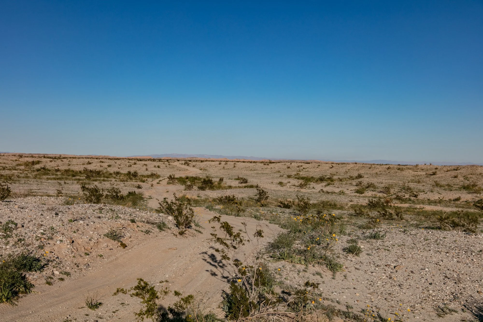 Ntr- Anza Borrego - Badlands - 0219 -56.jpg