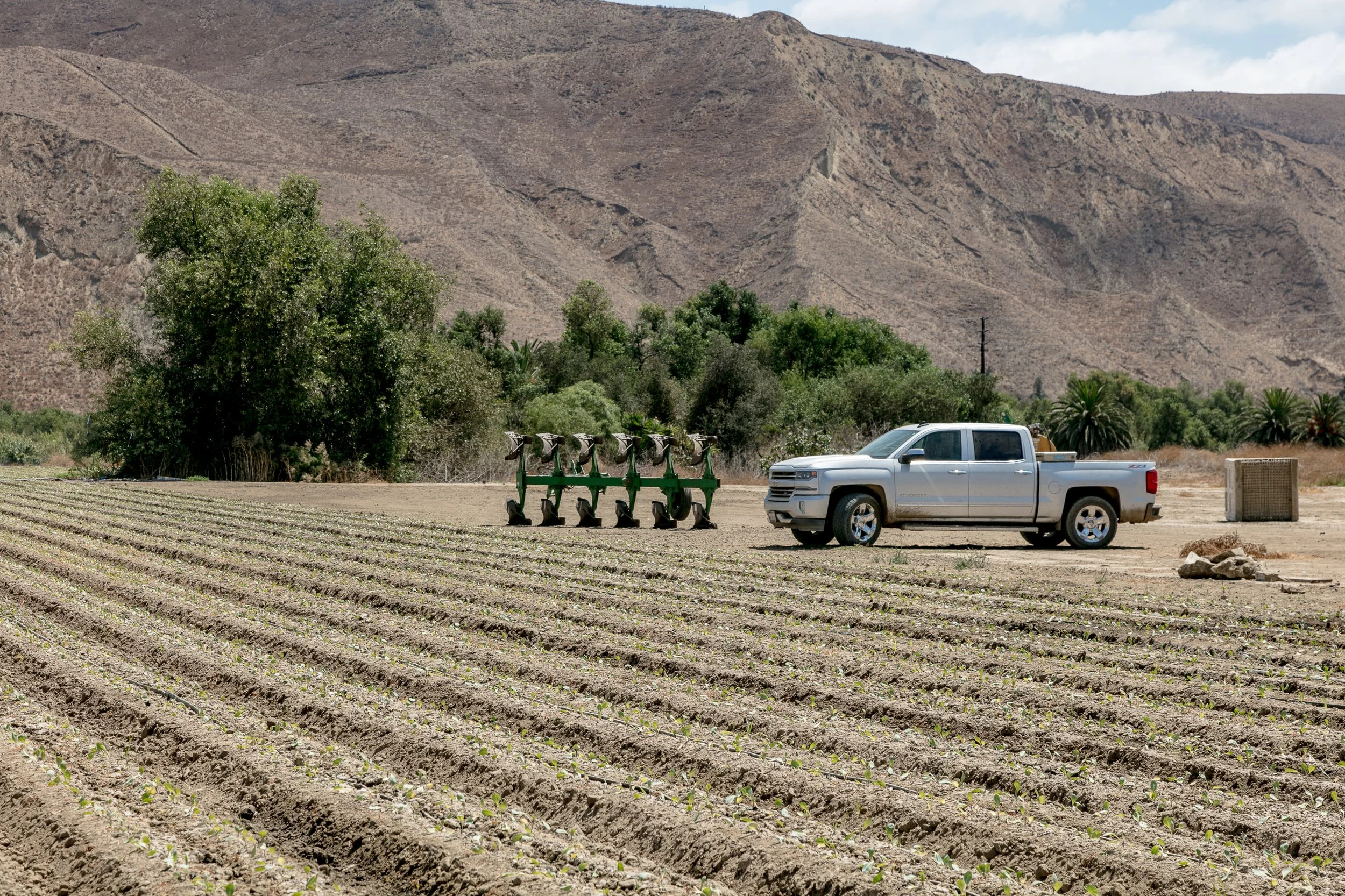 Limoneira Farms - Santa Paula -88.jpg