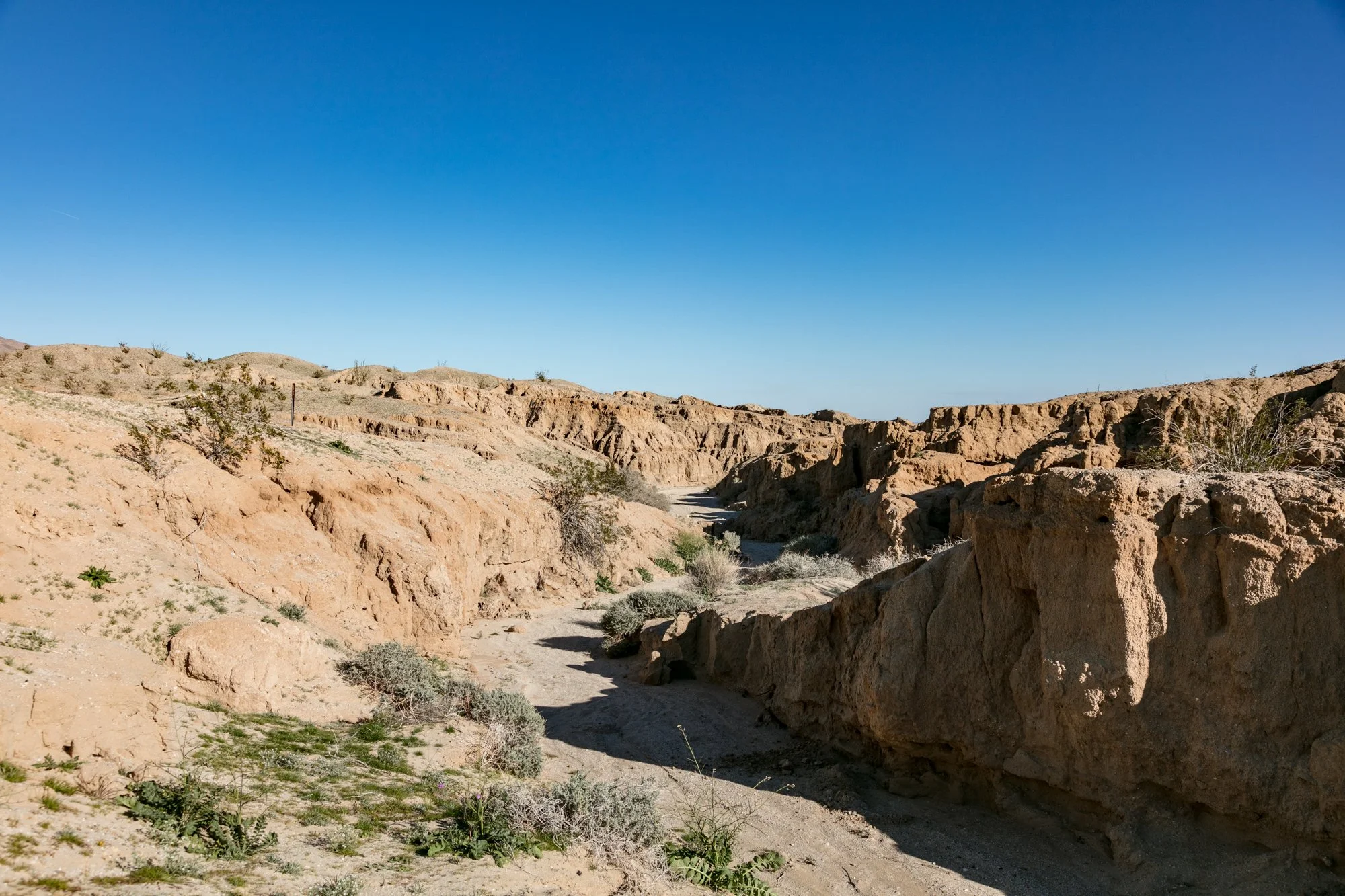Ntr- Anza Borrego - Badlands - 0219 -7.jpg