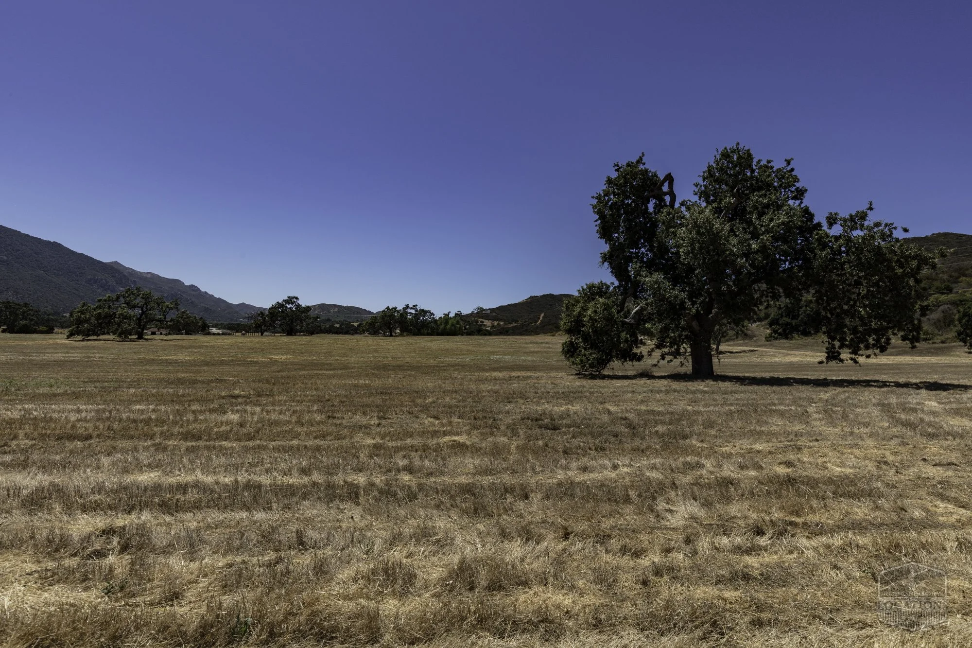 Thorton Ranch Pasture - Ventura Farms -1.jpg