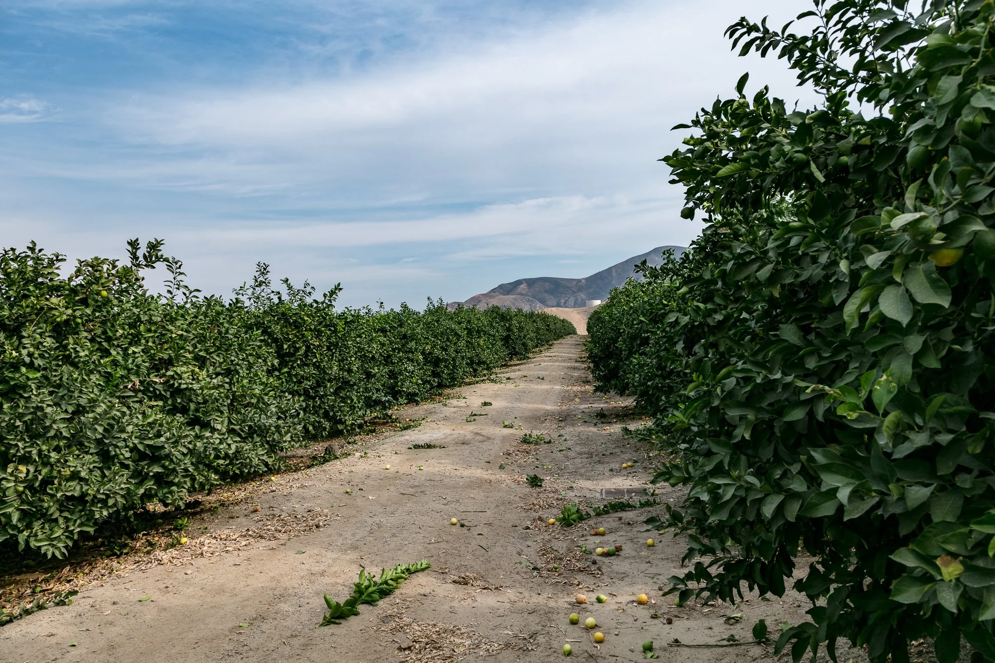 Rancho Temescal - Ranch Roads - Piru -13.jpg