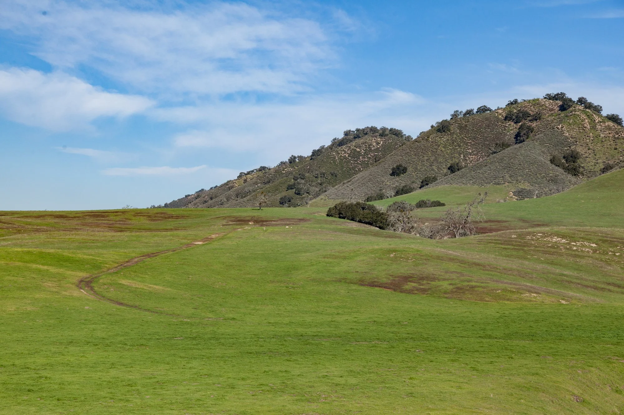 Rnch- Porter Ranch - Santa Maria - 5.jpg