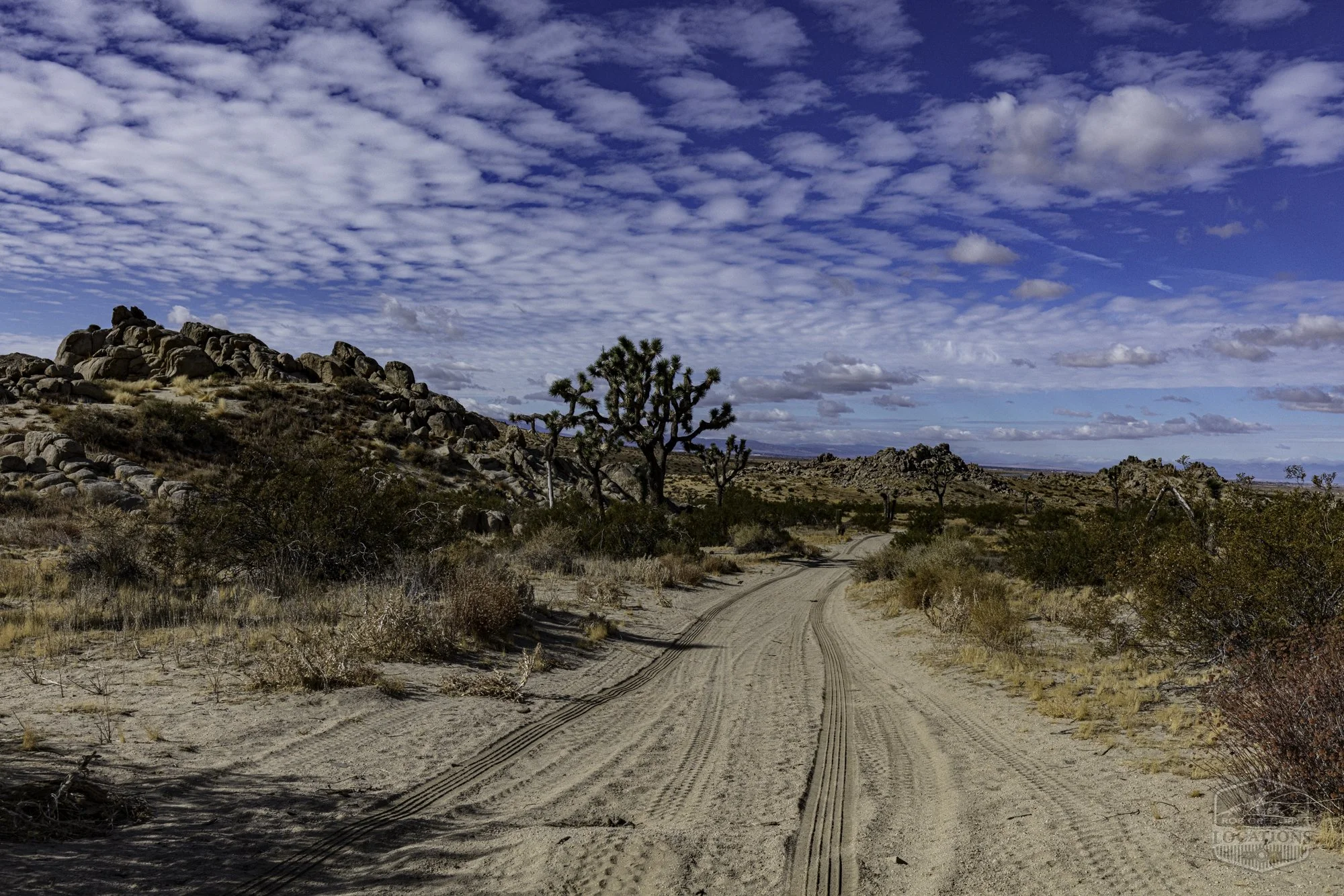 Rocky Buttes - Lancaster - 112424 -013.jpg