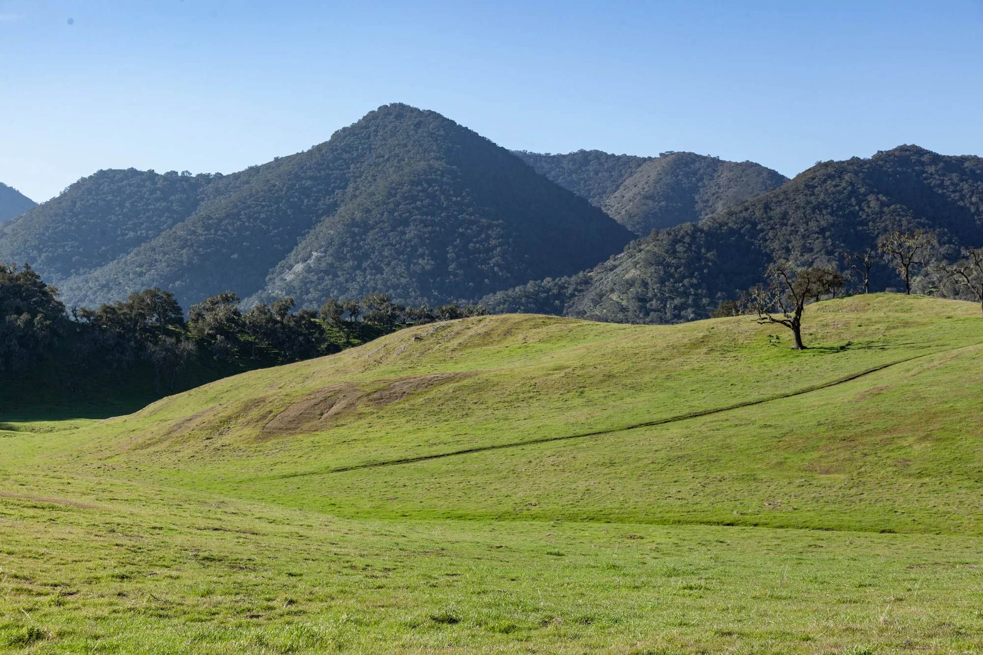 Rnch- Porter Ranch - Santa Maria - 25.jpg