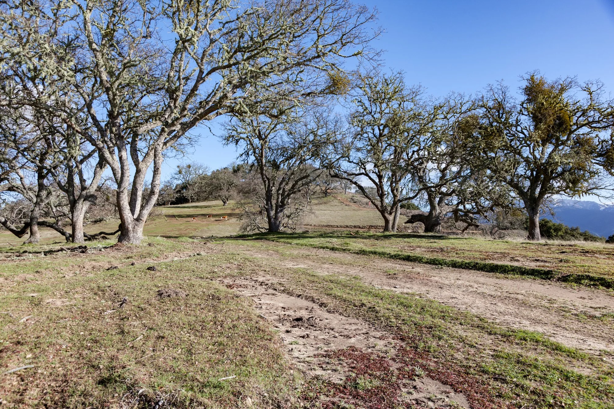 Rnch- Galante Ranch & Vineyards - Carmel Valley - 8.jpg